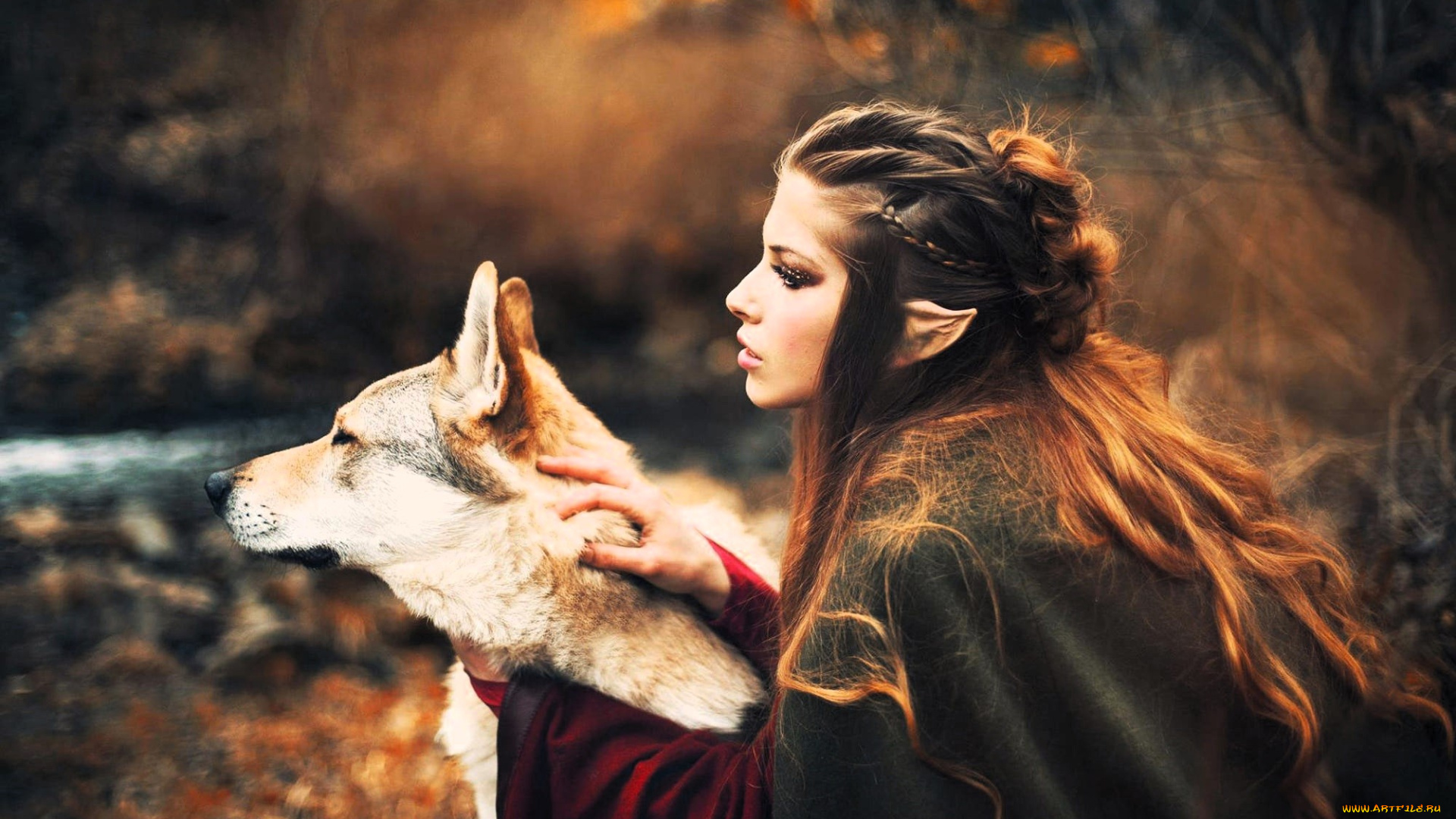 девушки, -, креатив, , косплей, образ, косплей, наряд, эльфийка, ушки, собака, лес, осень