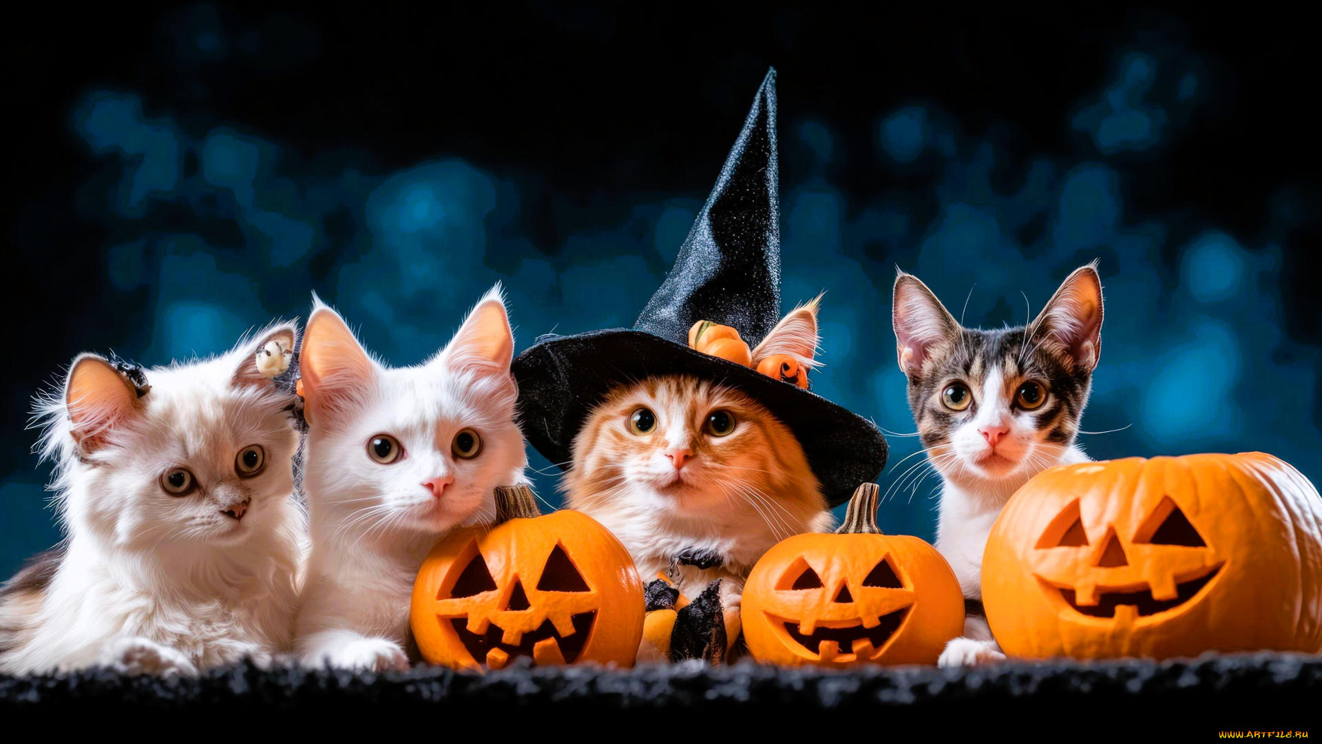 праздничные, хэллоуин, кошки, шляпа, тыквы, рожи, нейросеть