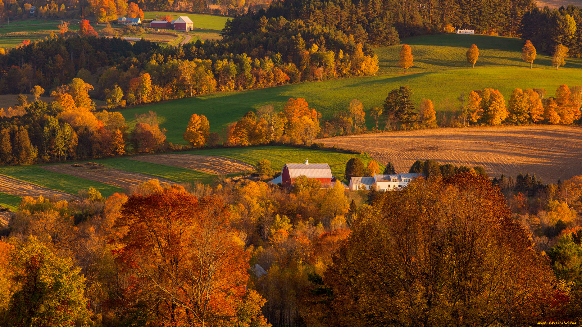 природа, пейзажи, осень