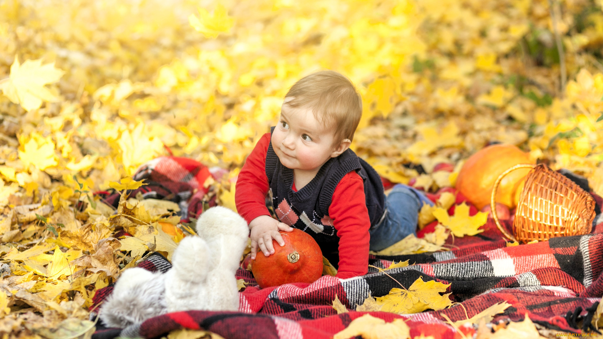 разное, дети, ребенок, тыквы, корзина, подстилка, листья, осень
