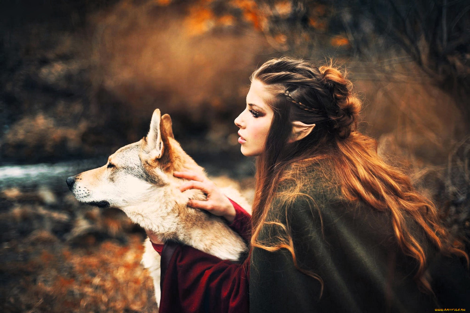 девушки, -, креатив, , косплей, образ, косплей, наряд, эльфийка, ушки, собака, лес, осень