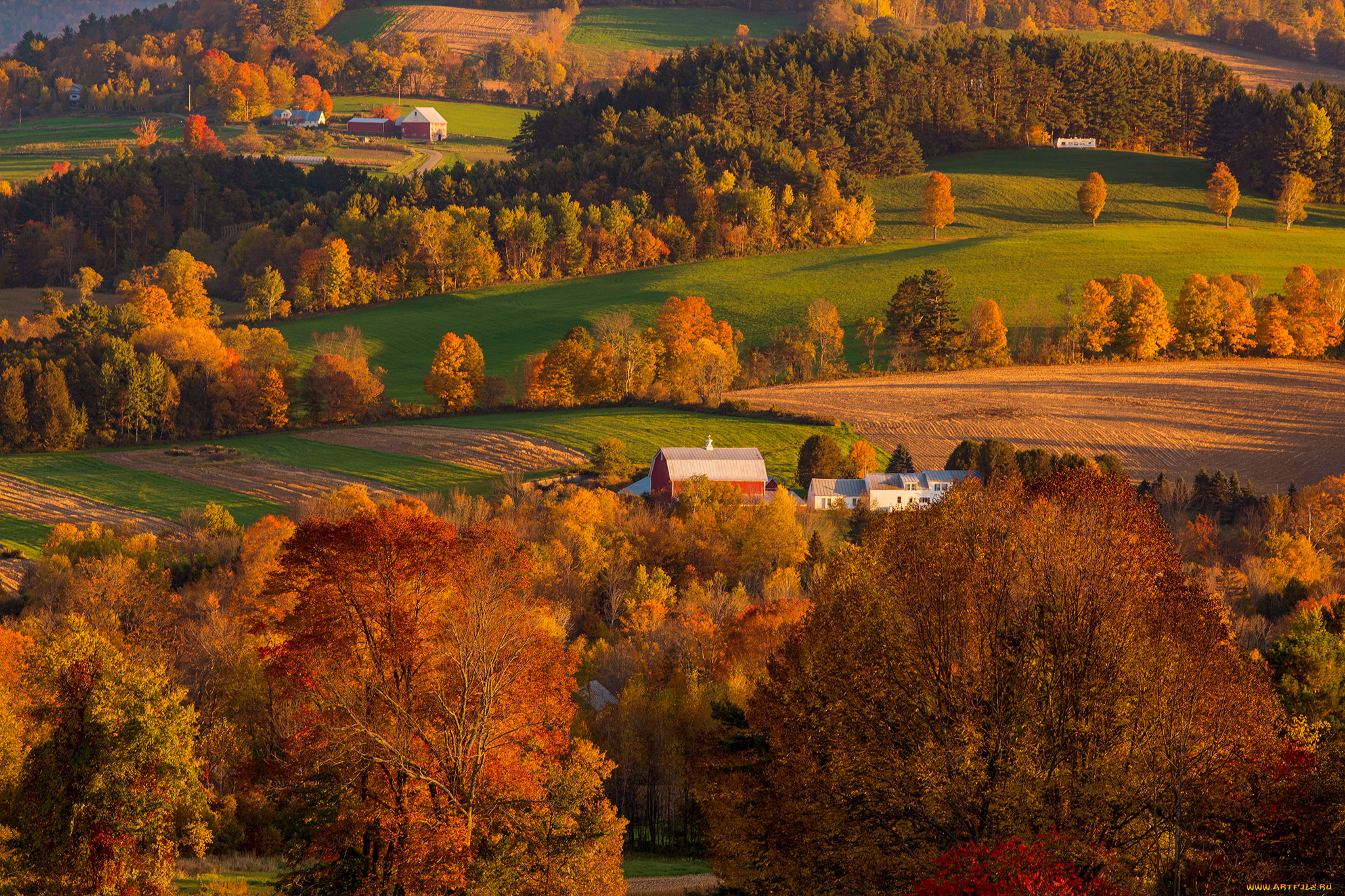 природа, пейзажи, осень