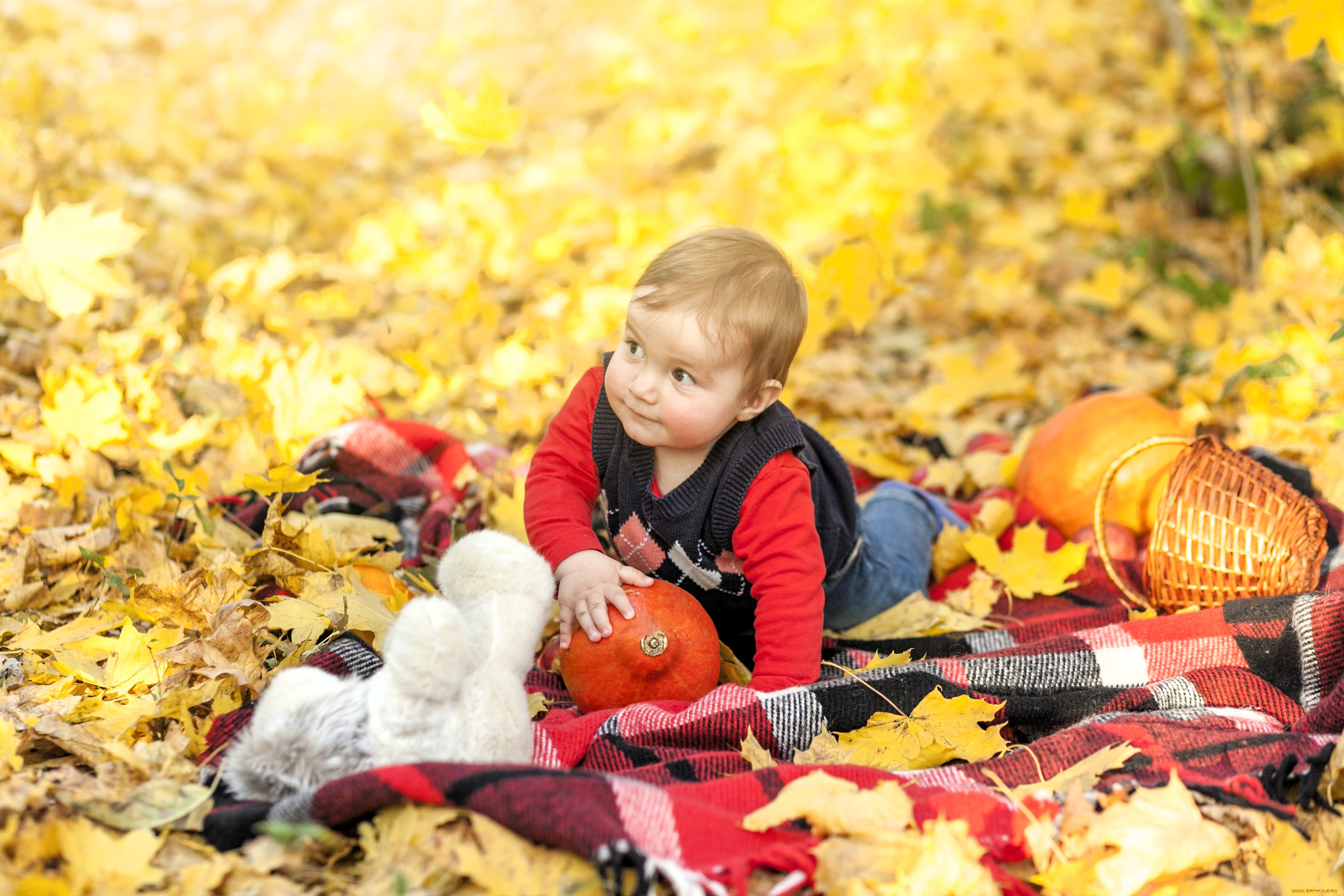 разное, дети, ребенок, тыквы, корзина, подстилка, листья, осень