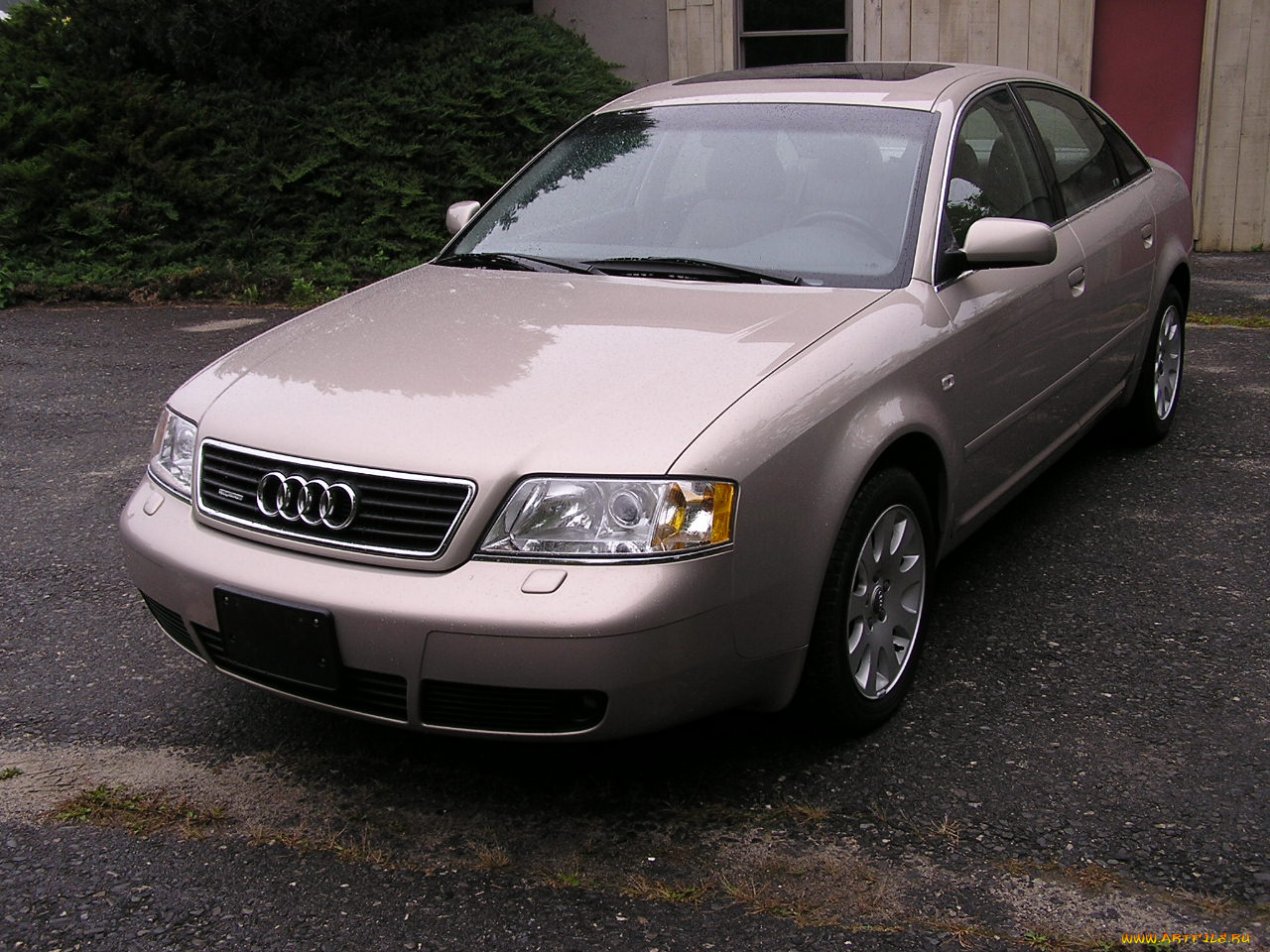 audi, a6, автомобили, выставки, уличные, фото