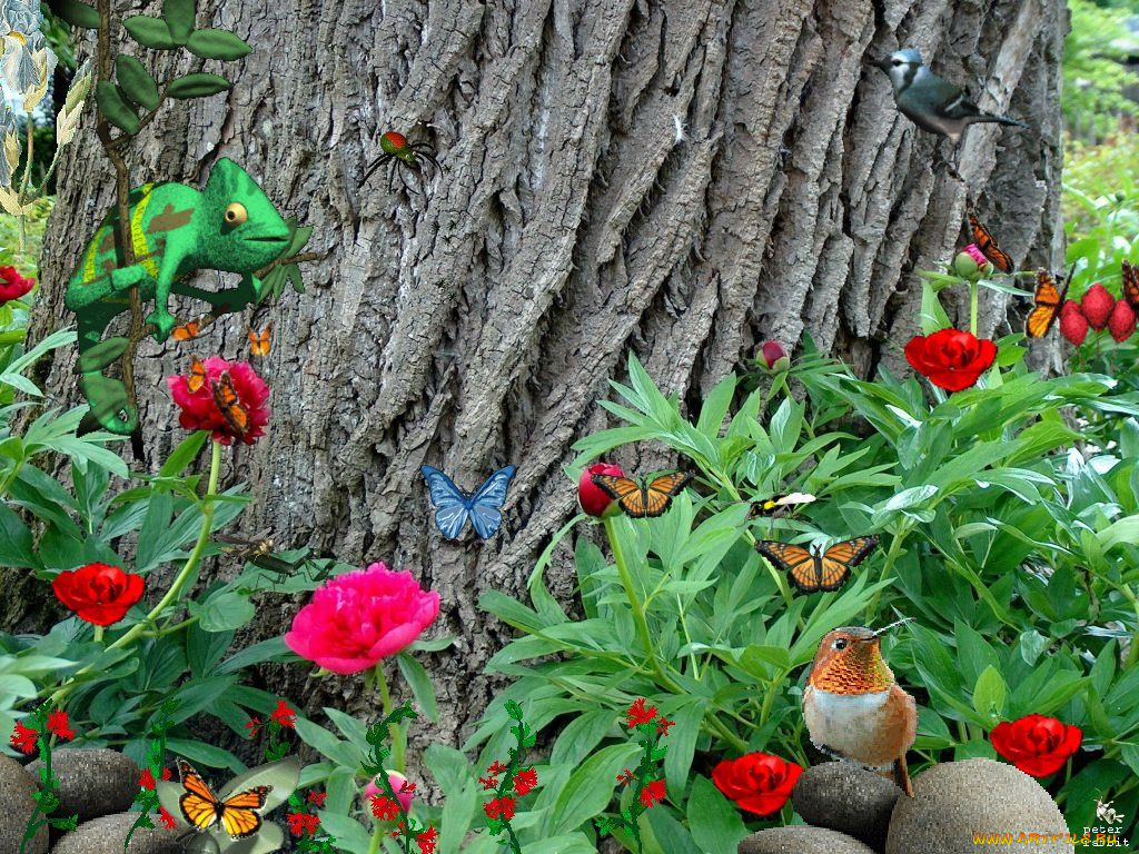 разное, компьютерный, дизайн