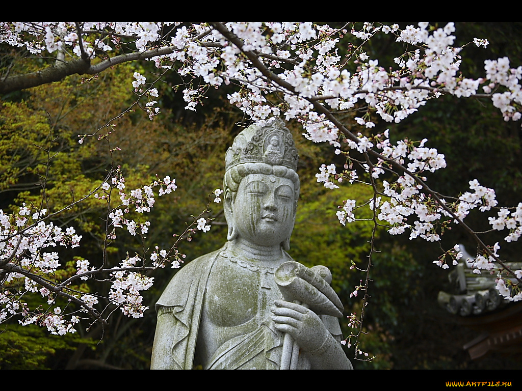 разное, рельефы, статуи, музейные, экспонаты