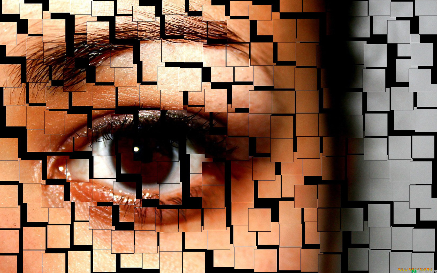 разное, глаза, глаз, квадраты