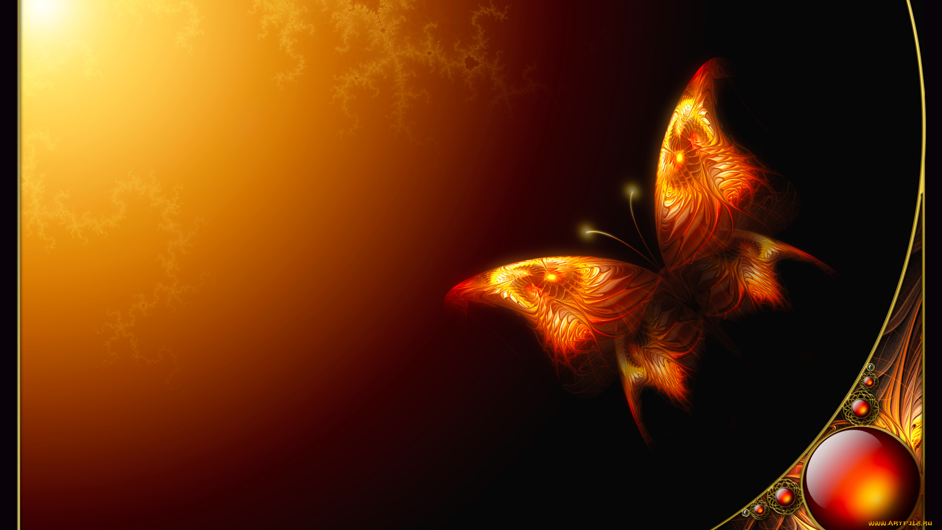 3д, графика, animals, животные, фон, бабочка