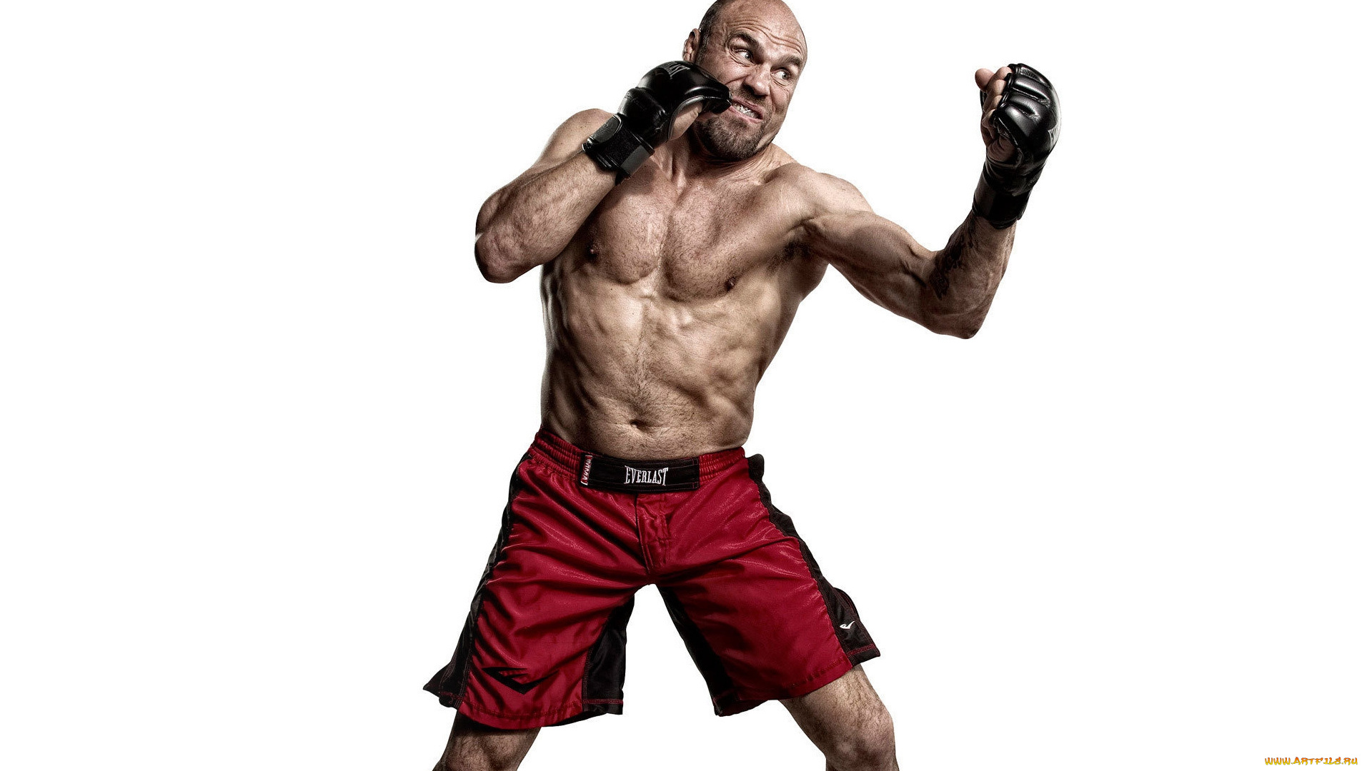 randy, couture, спорт, mix, fight, смешанные, единоборства, боец