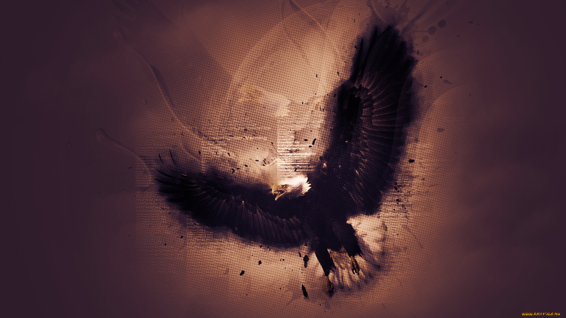 разное, компьютерный, дизайн, орел, графика