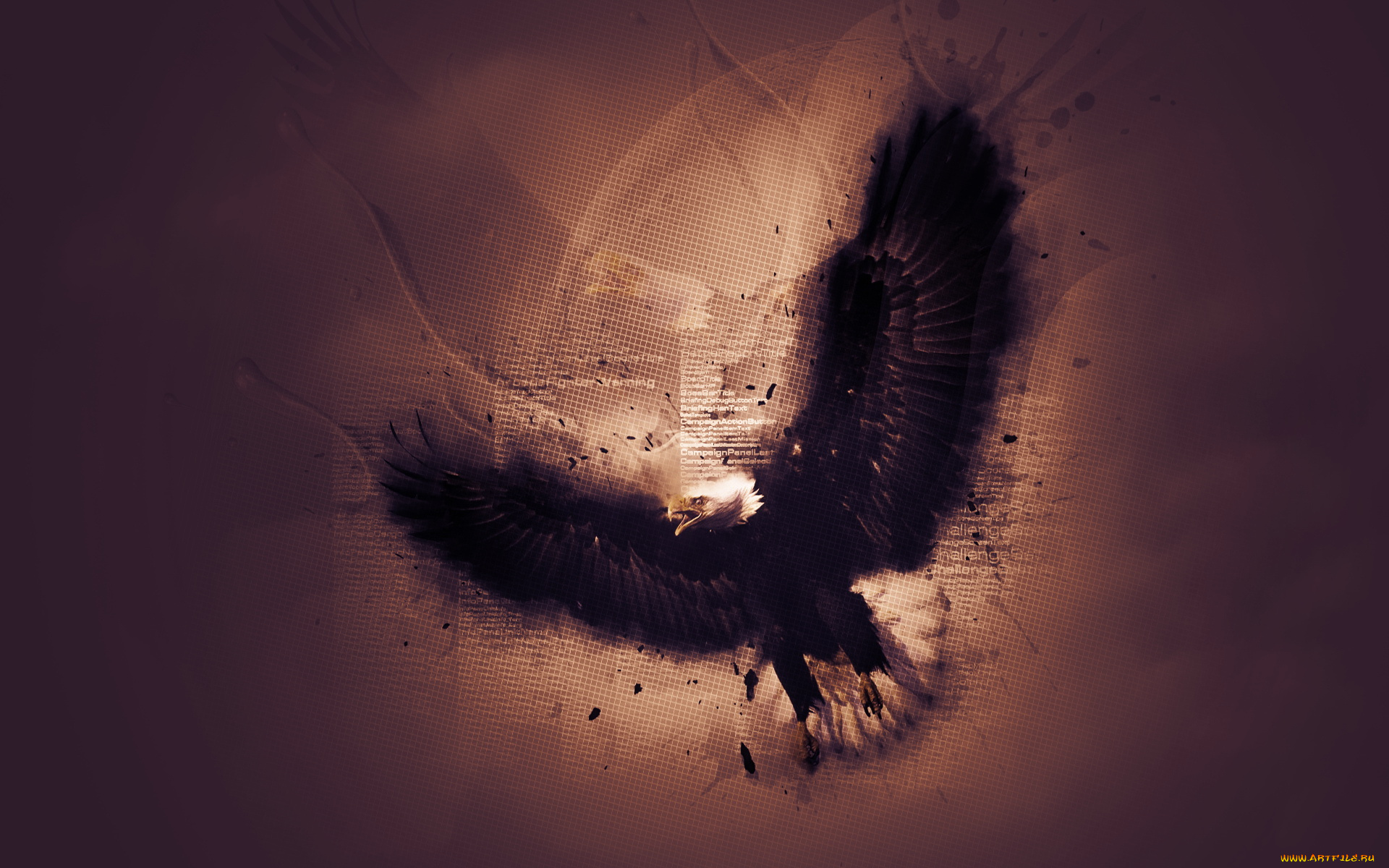 разное, компьютерный, дизайн, орел, графика