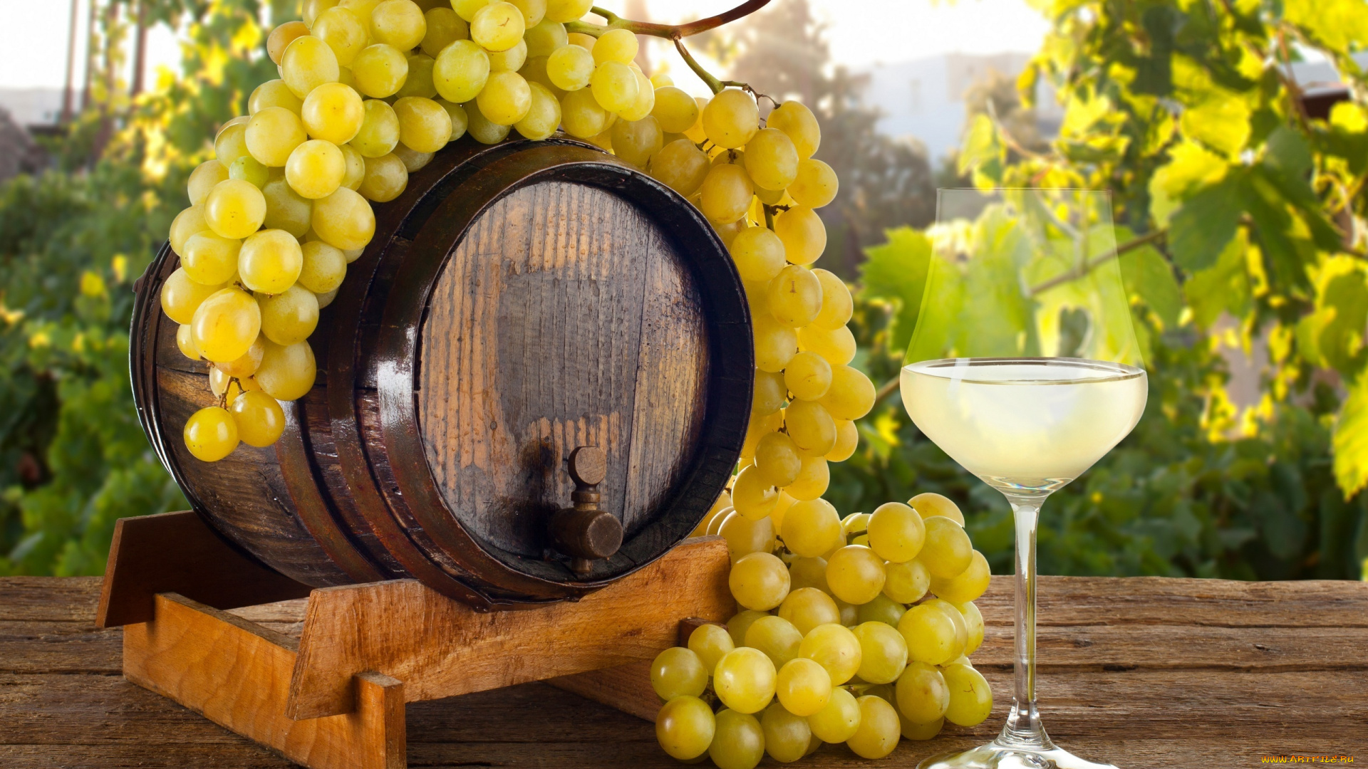 еда, напитки, , вино