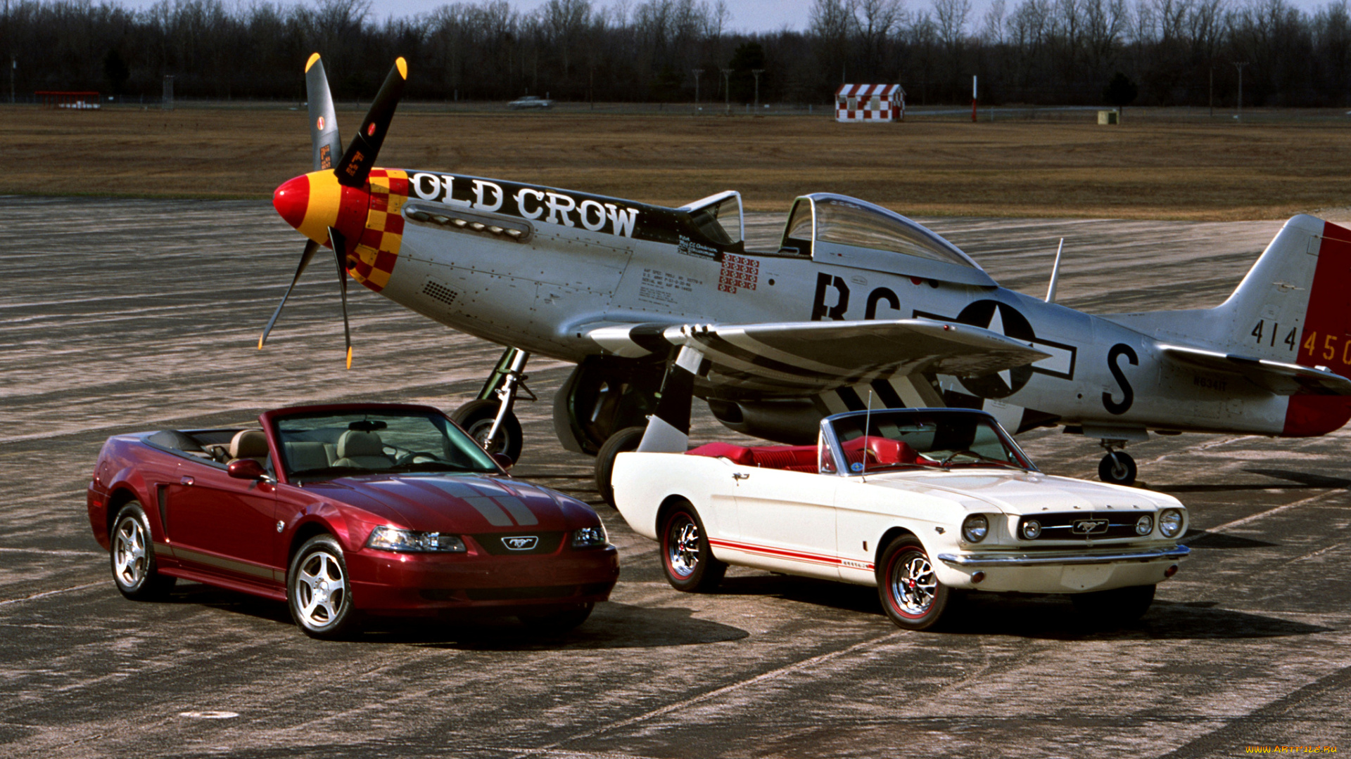 ford, mustang, автомобили, mustang