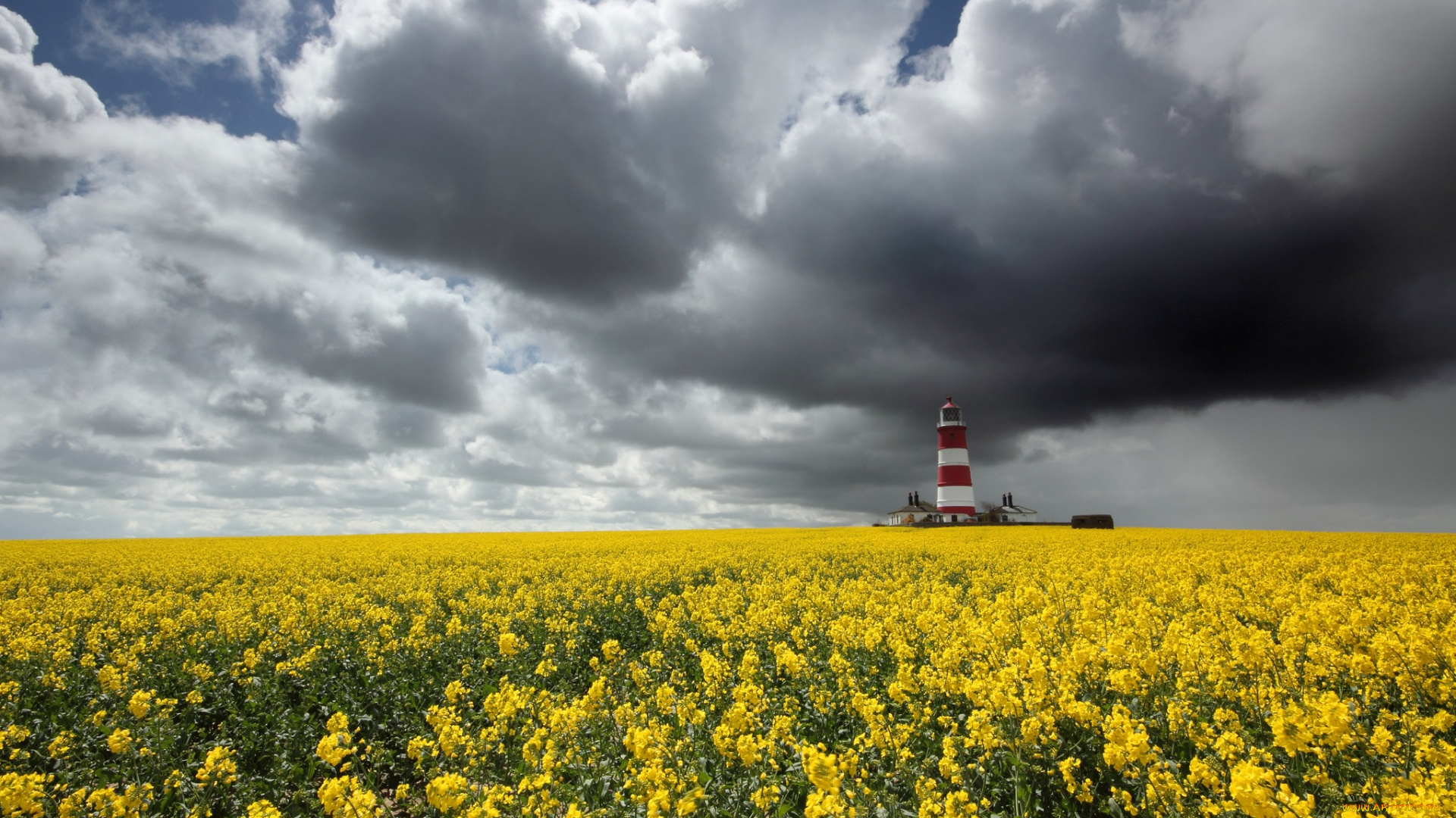 природа, маяки