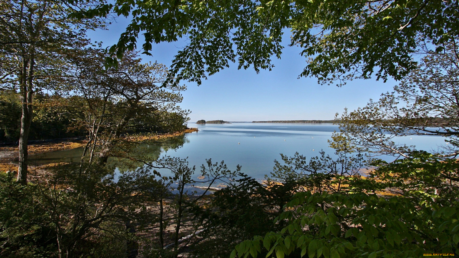 природа, реки, озера