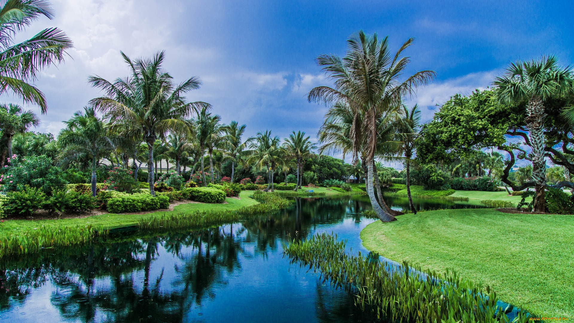 природа, тропики