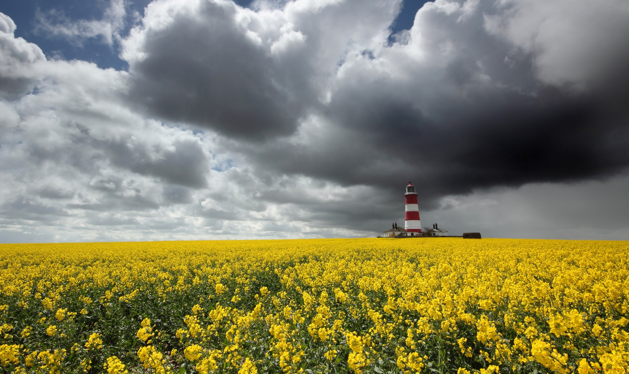 природа, маяки