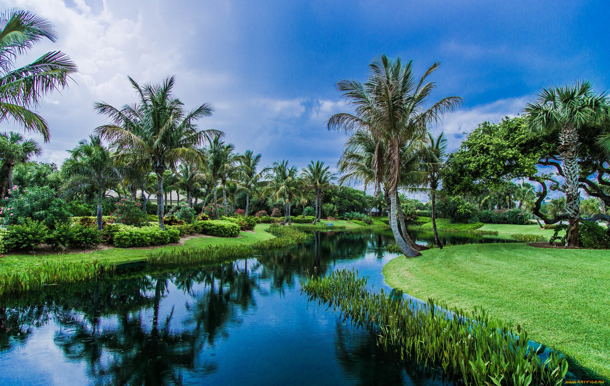 природа, тропики