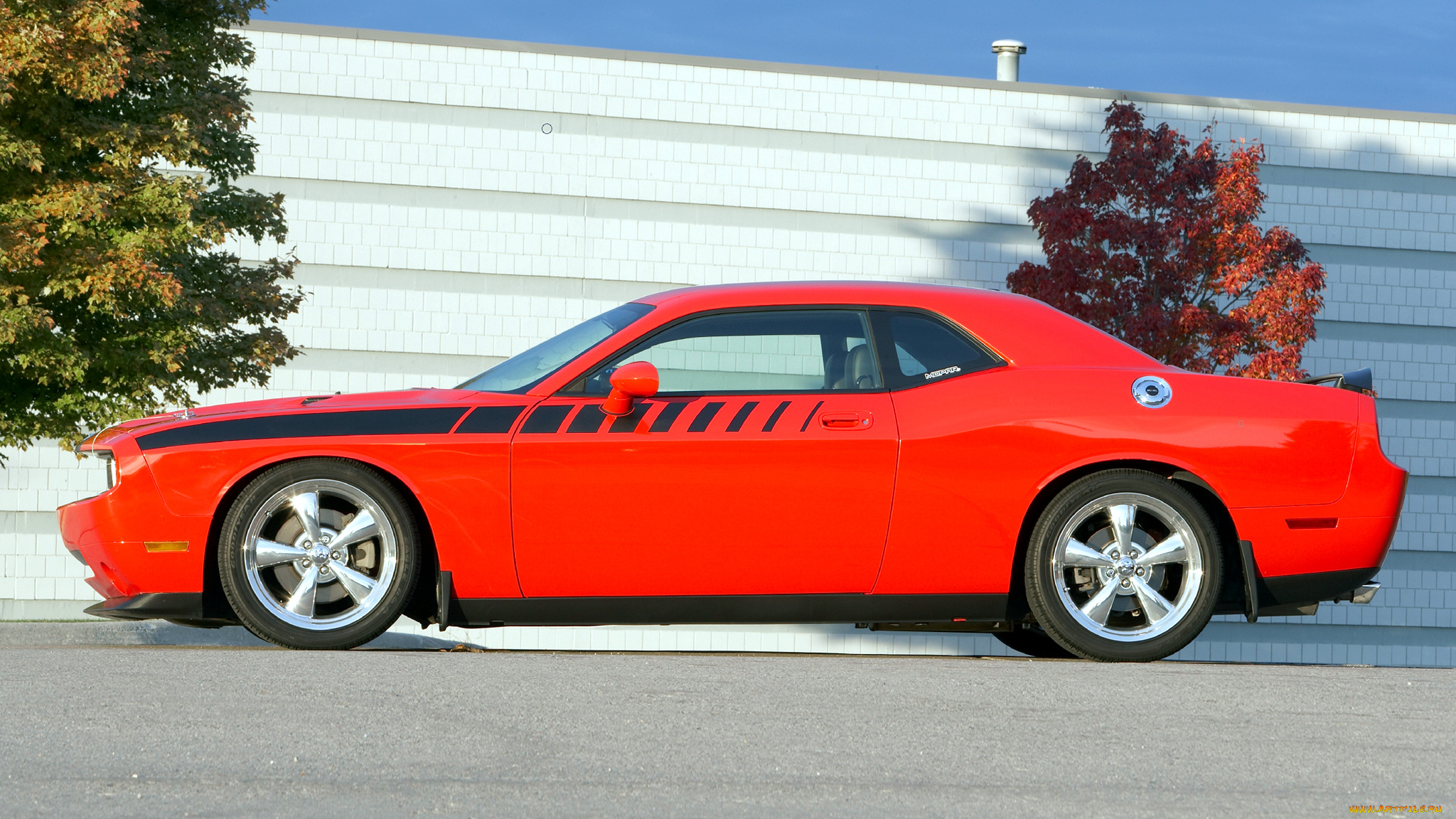 dodge, challenger, автомобили, dodge