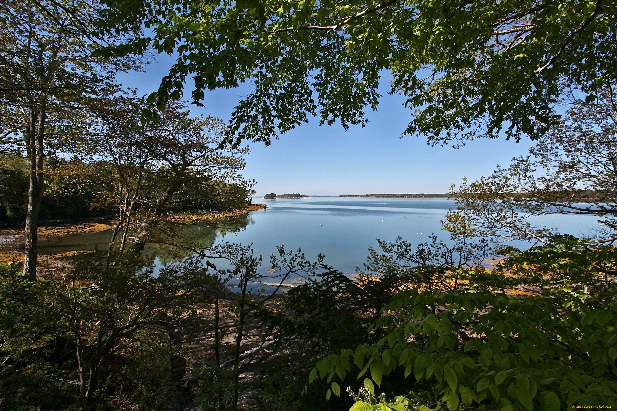 природа, реки, озера