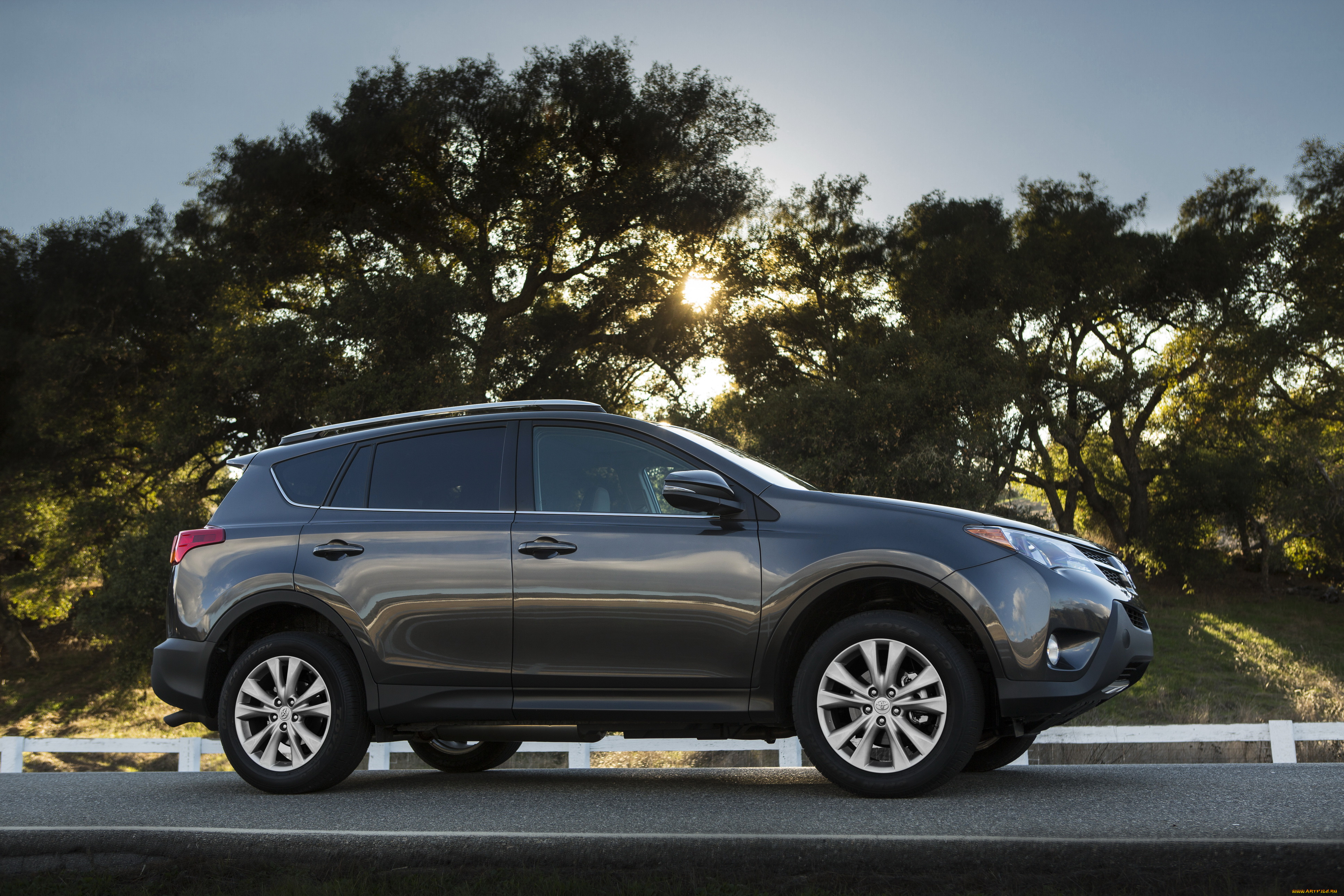 автомобили, toyota, rav4