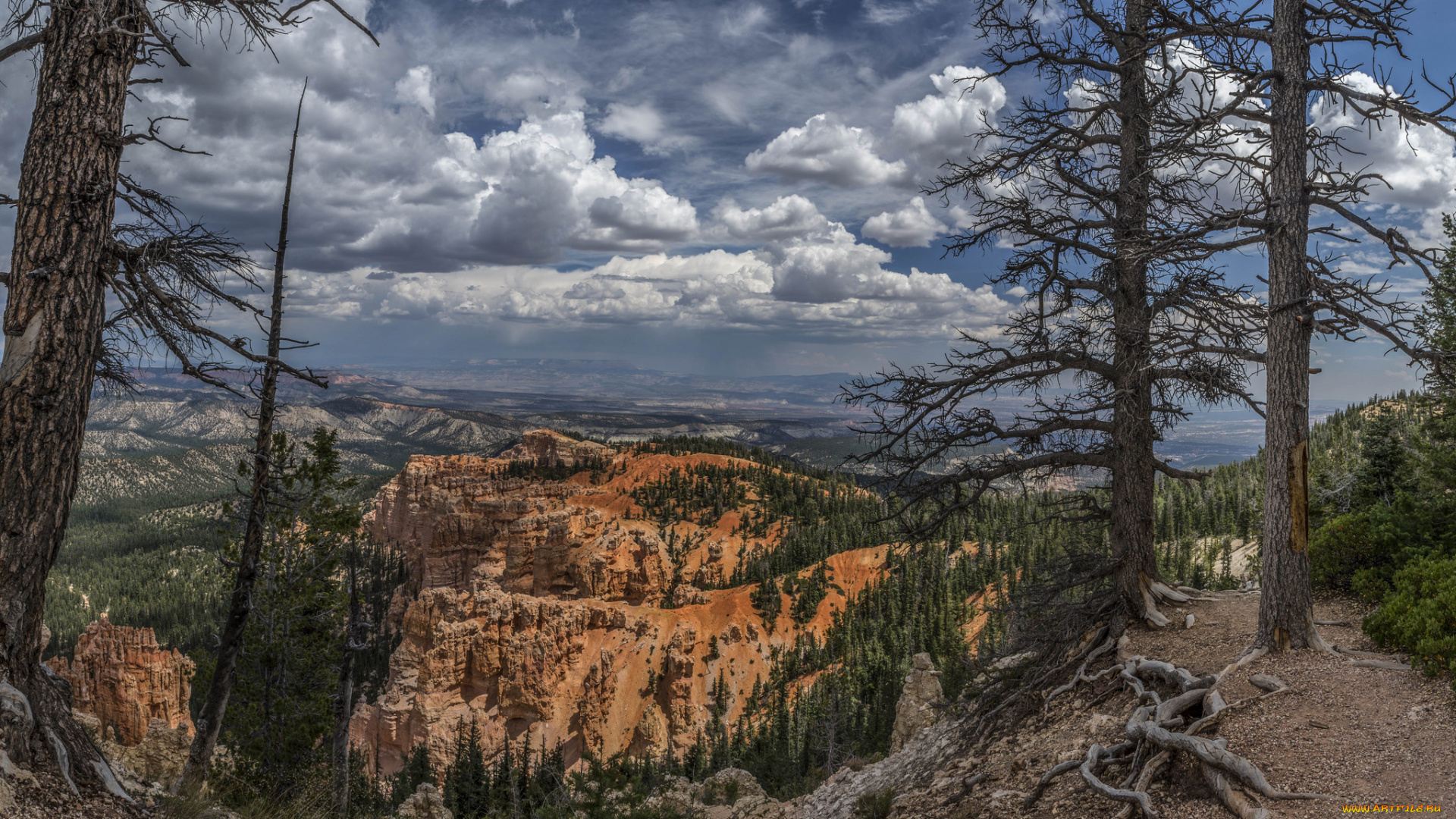 природа, горы, лес, облака