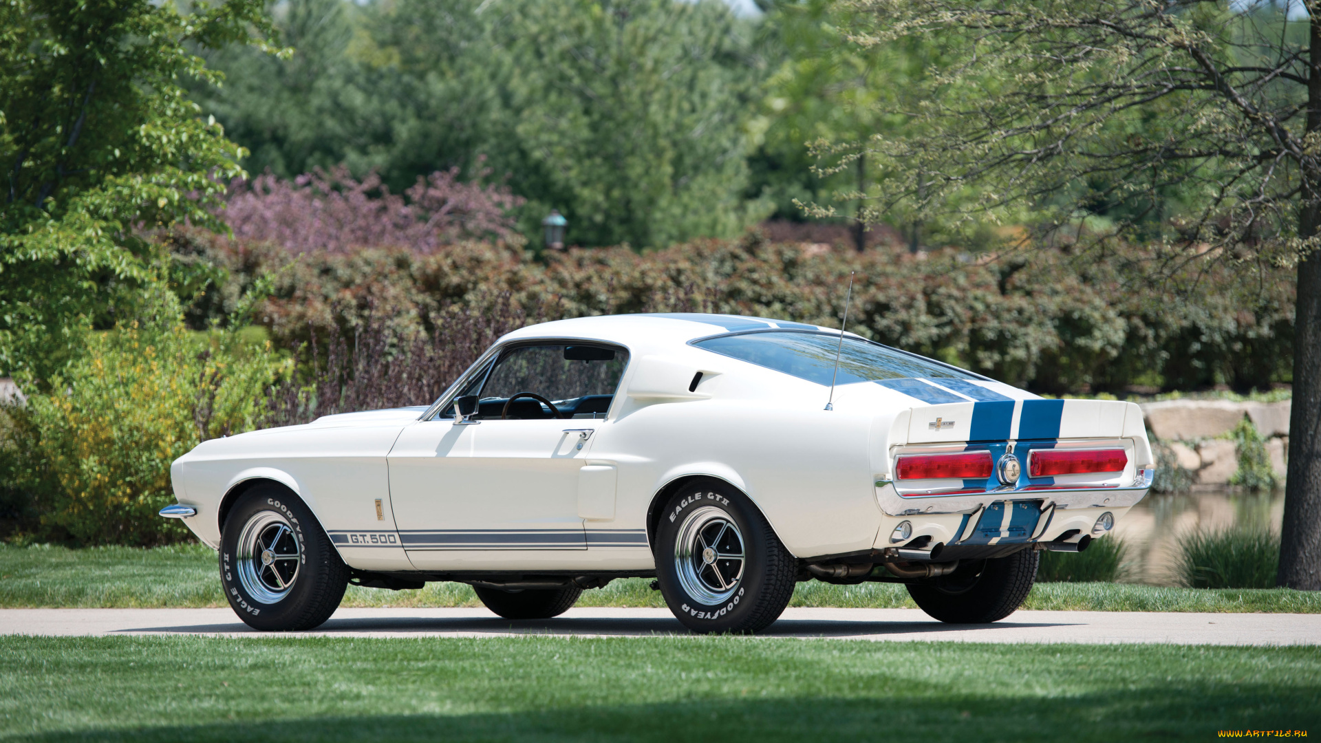 shelby, gt500, with, lemans, stripes, option, автомобили, mustang, shelby