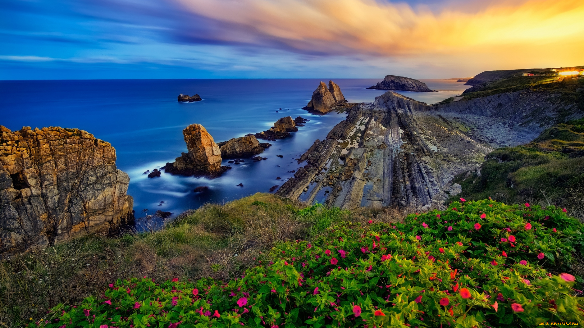 природа, побережье, океан, небо, скалы, горизонт, цветы, вода