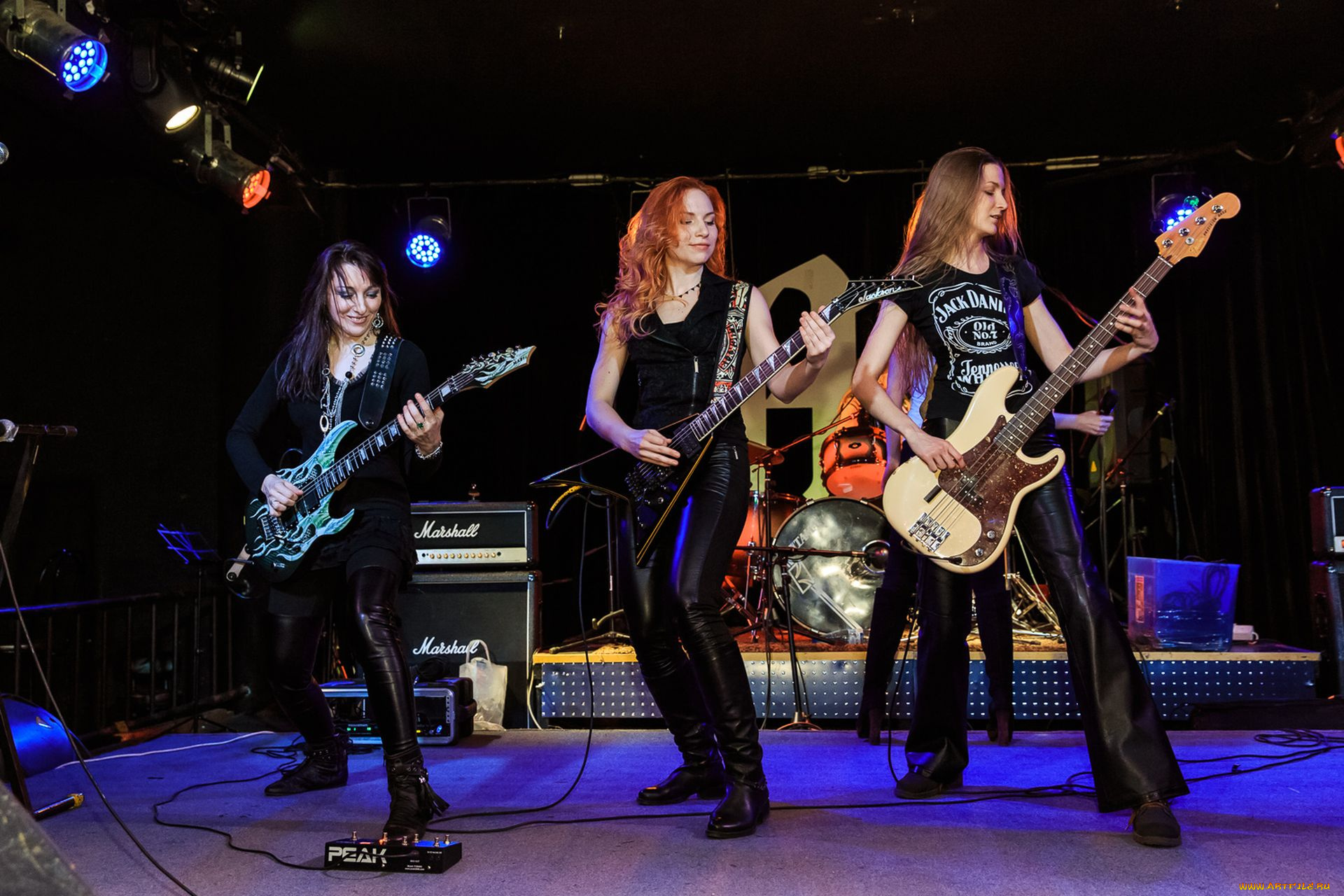 вольная, стая, музыка, вольная, стая, группа