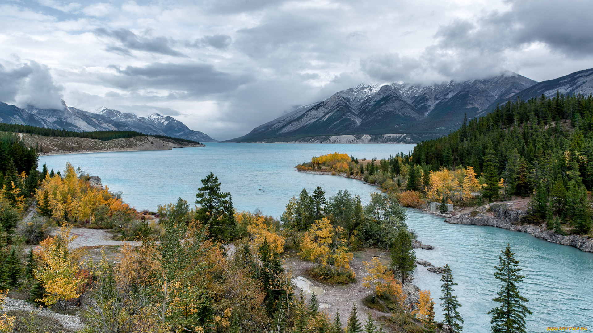 природа, реки, озера, лес, река