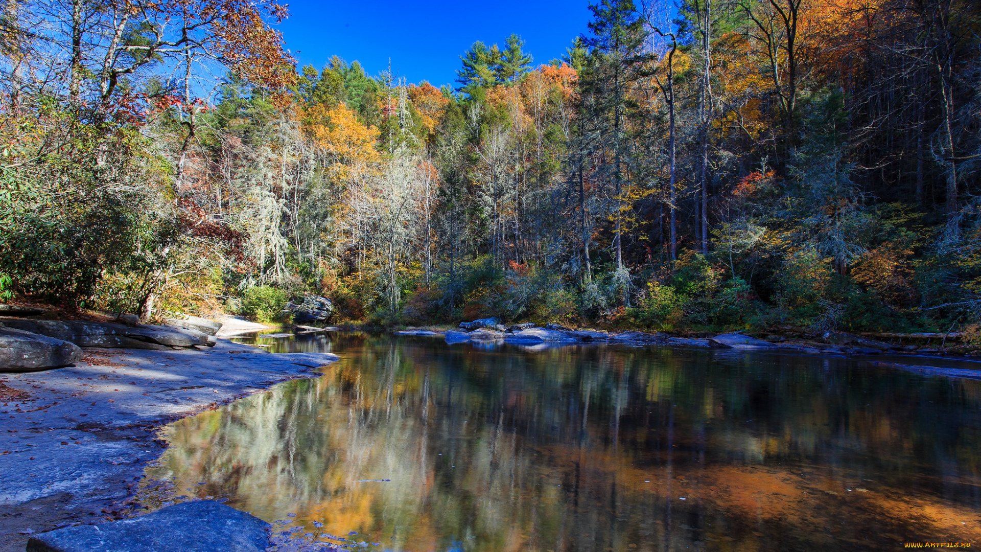природа, реки, озера, лес, река