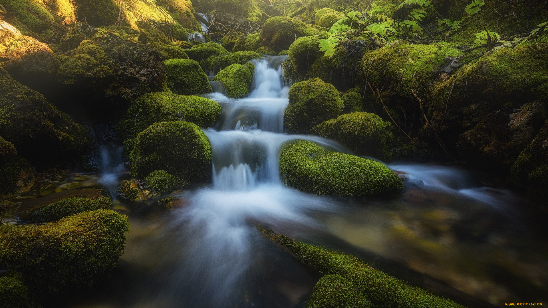 природа, реки, озера, река, камни, мох, лес