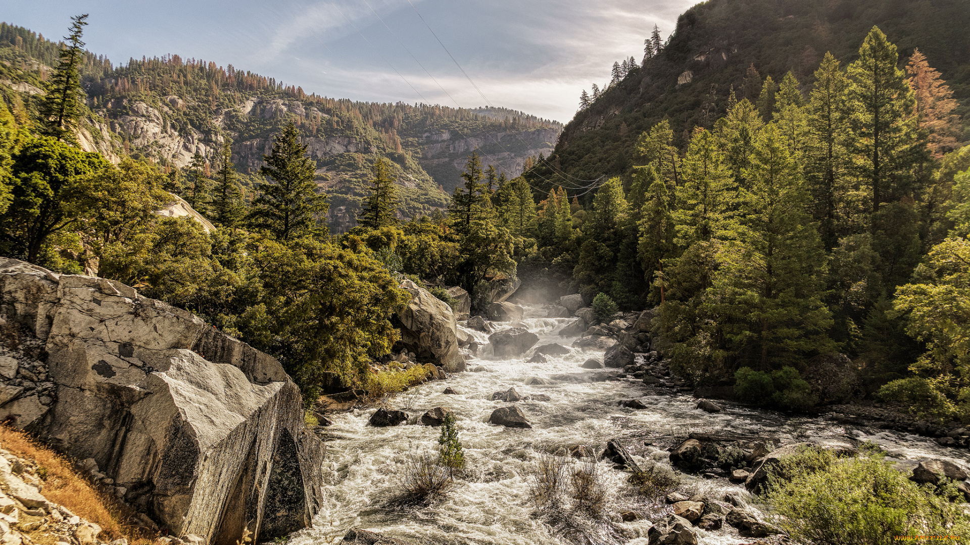 природа, реки, озера, река, лес