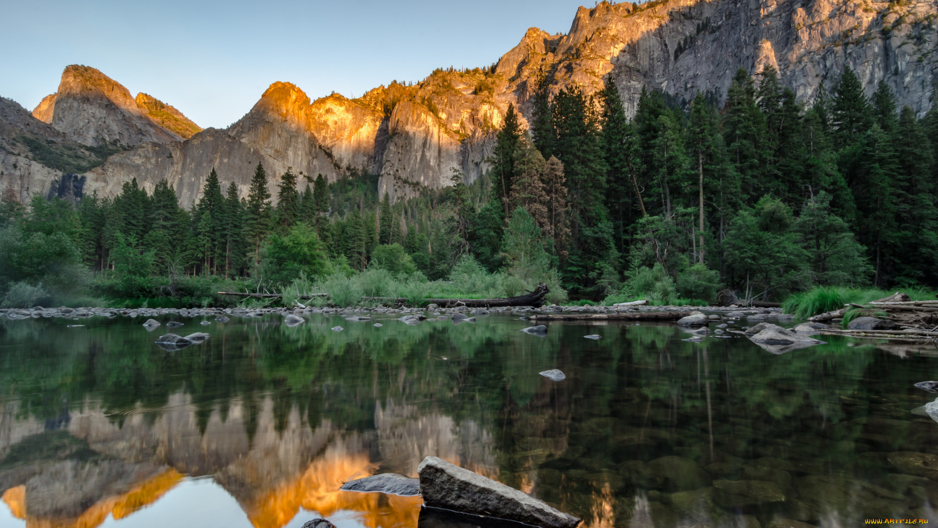 природа, реки, озера, река, лес