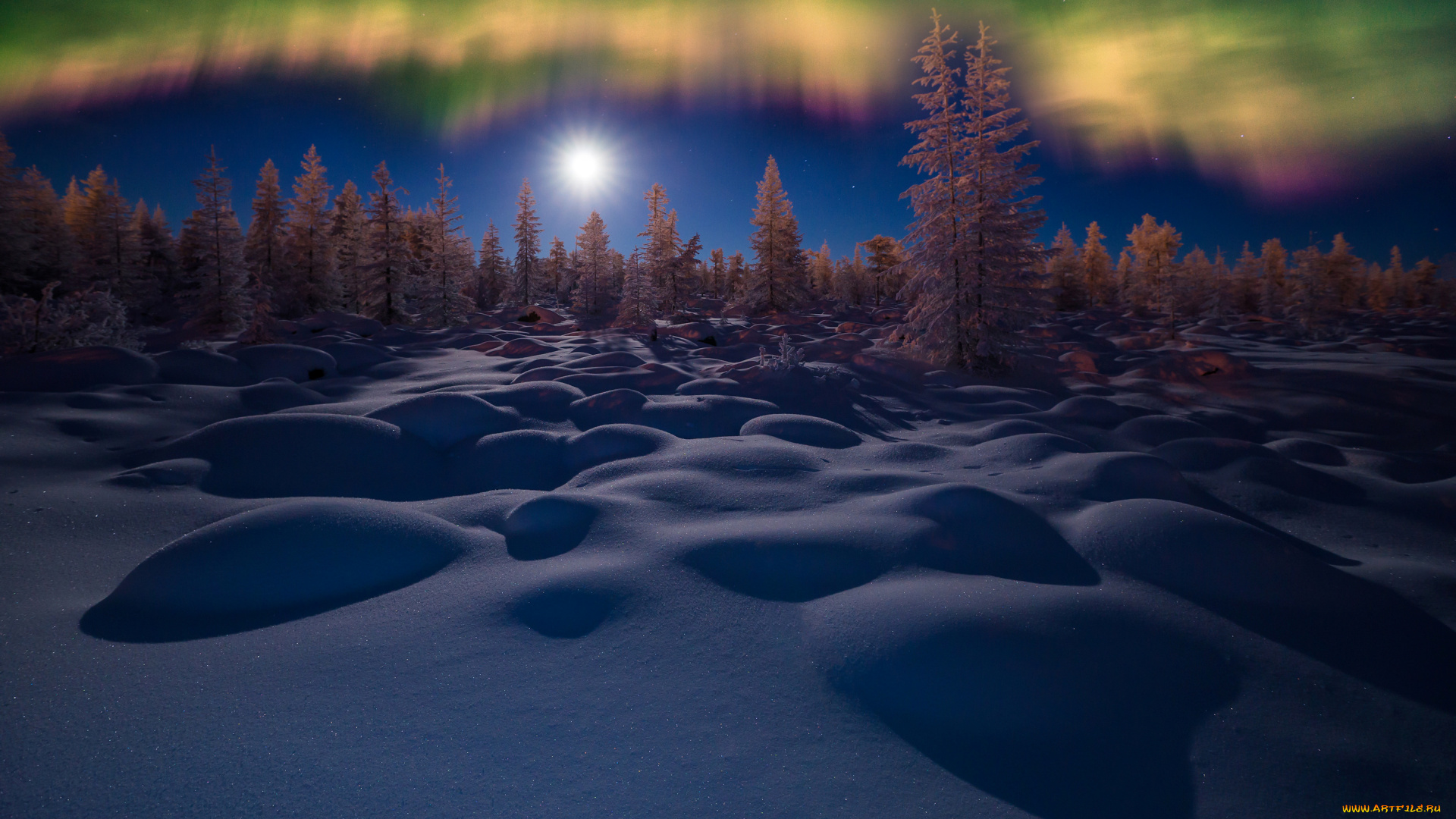 природа, северное, сияние, деревья, снег, зима