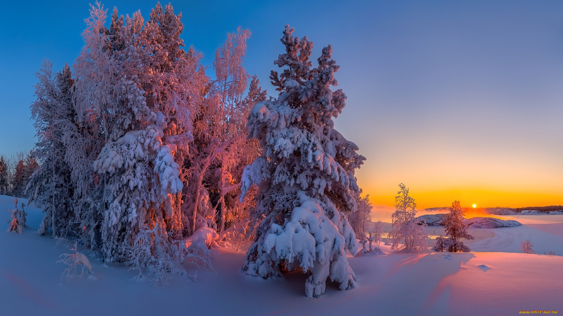 природа, зима, деревья, снег, сугробы