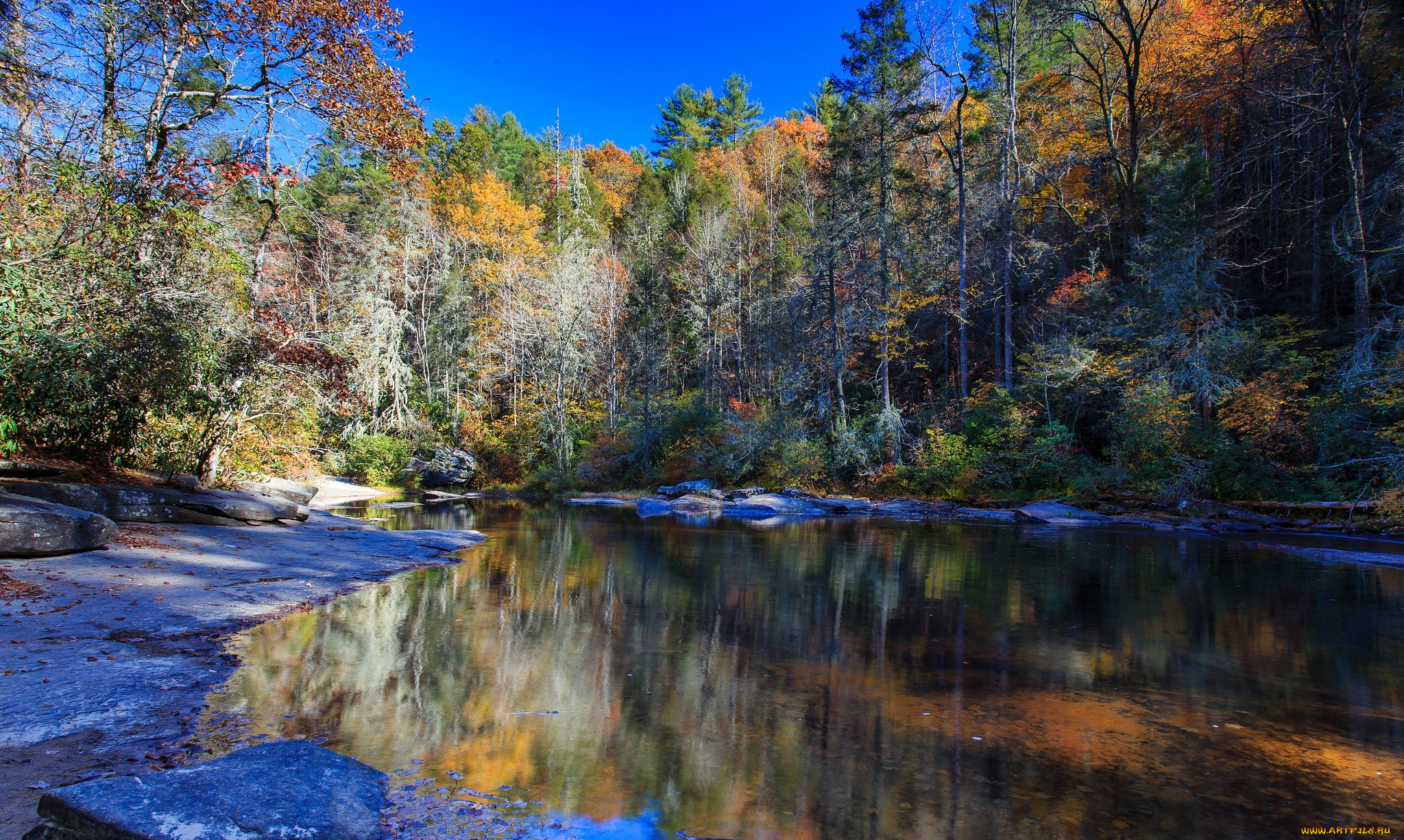 природа, реки, озера, лес, река
