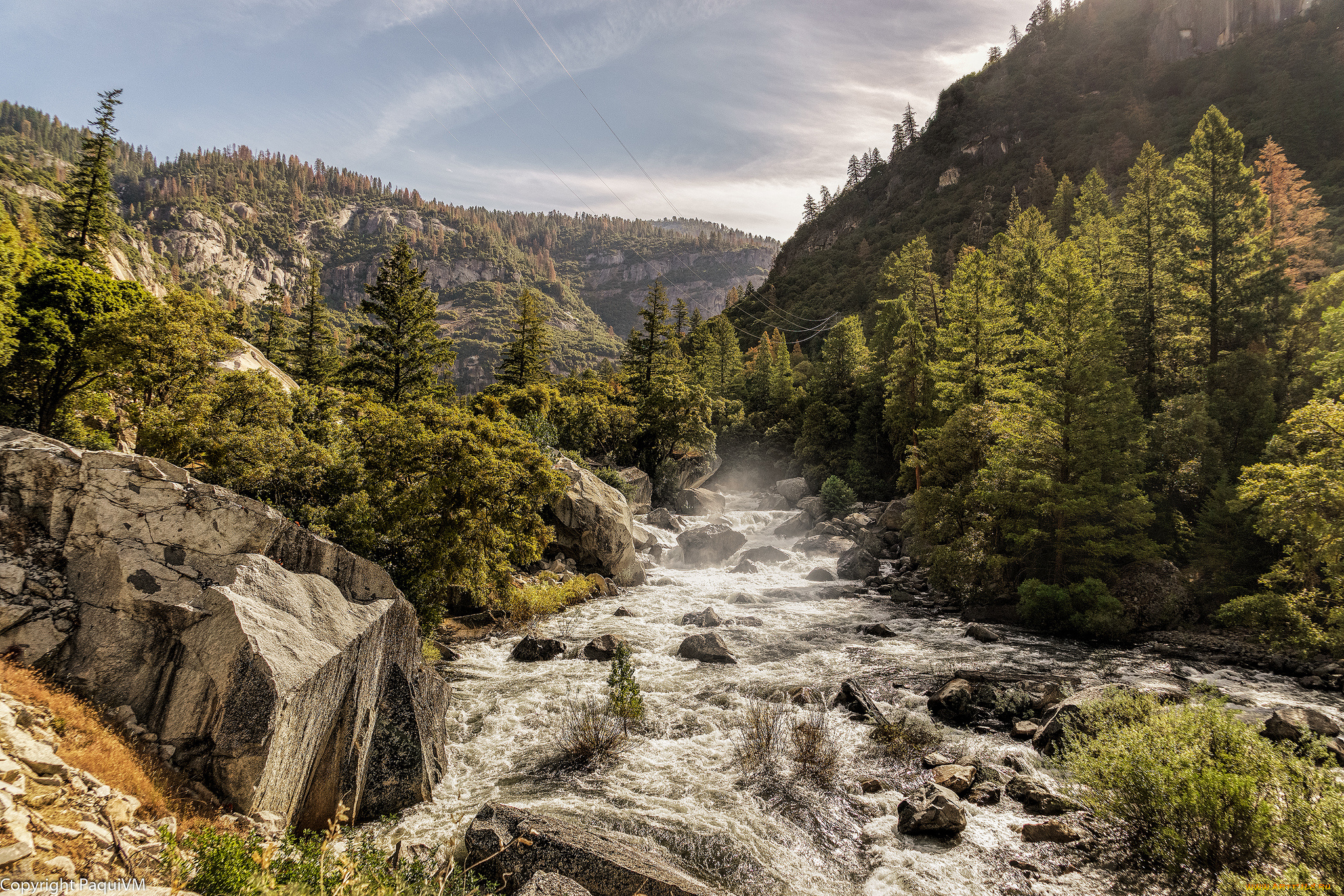 природа, реки, озера, река, лес