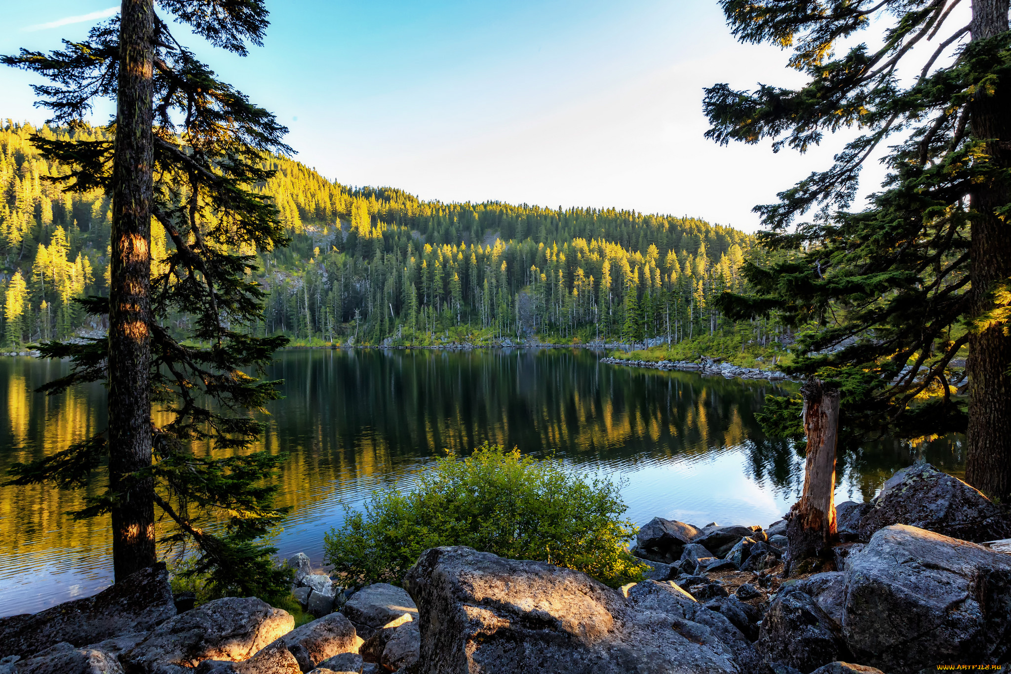 природа, реки, озера, река, лес