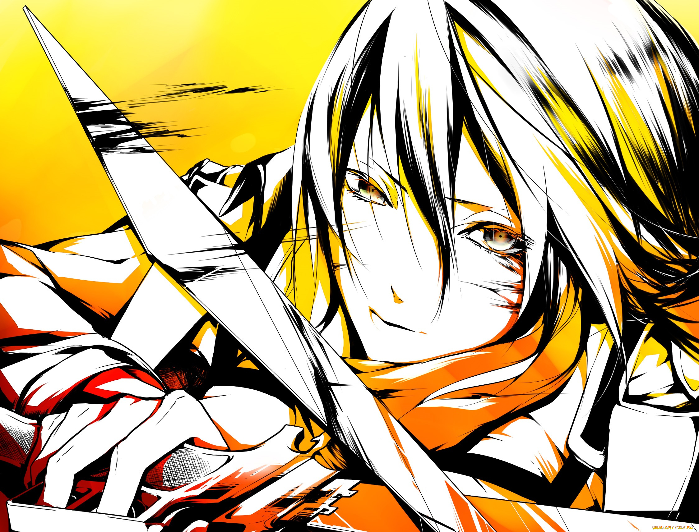 аниме, shingeki, no, kyojin, mikasa, ackerman