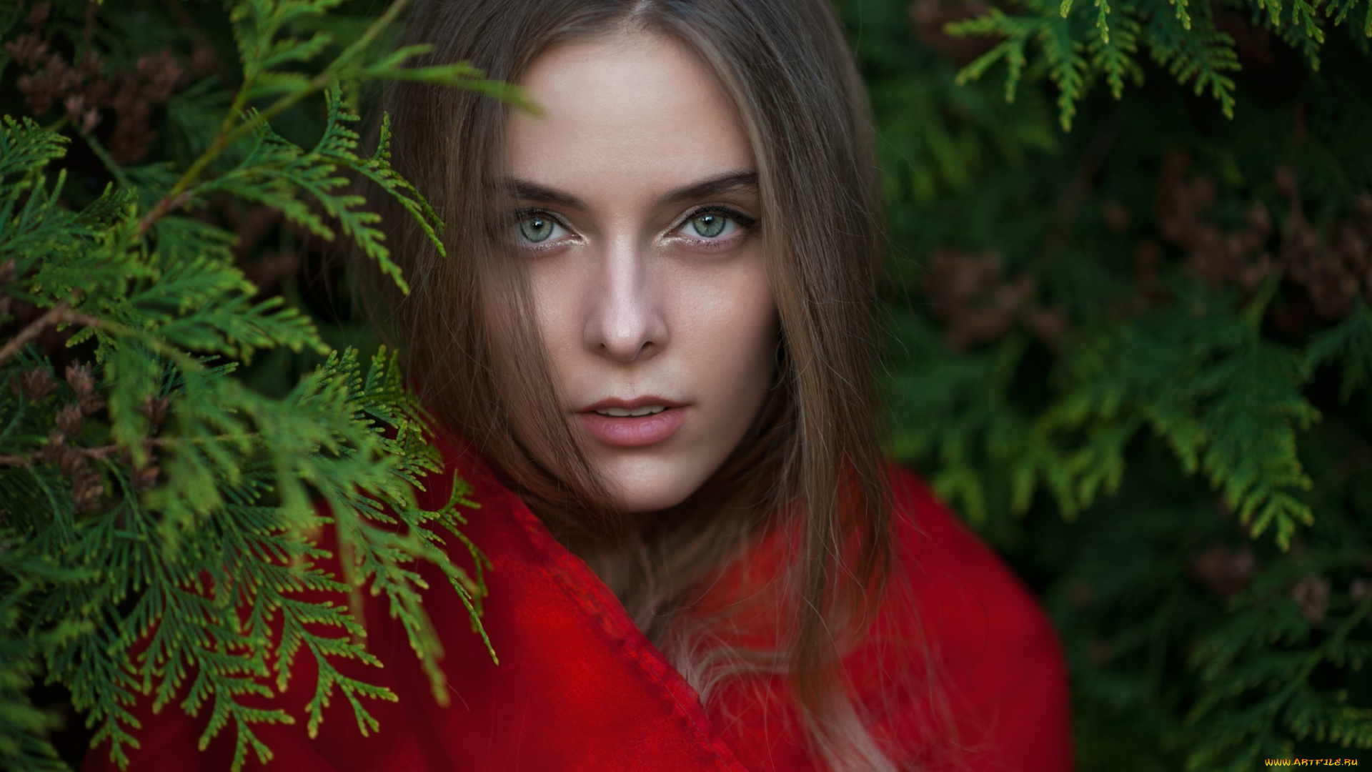 amina, katinova, девушки, amina, katinova, модель, девушка