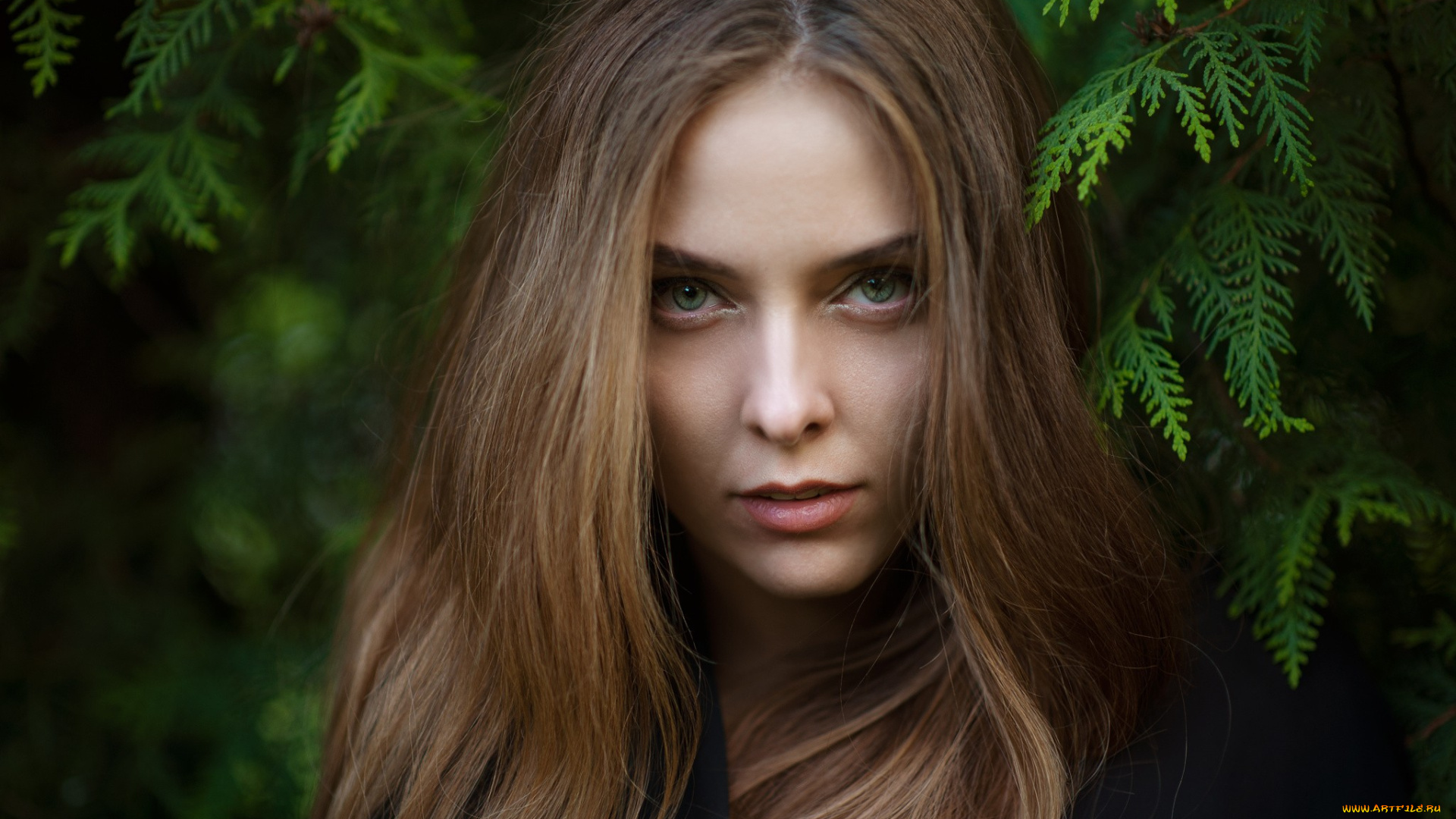 amina, katinova, девушки, модель, девушка, amina, katinova