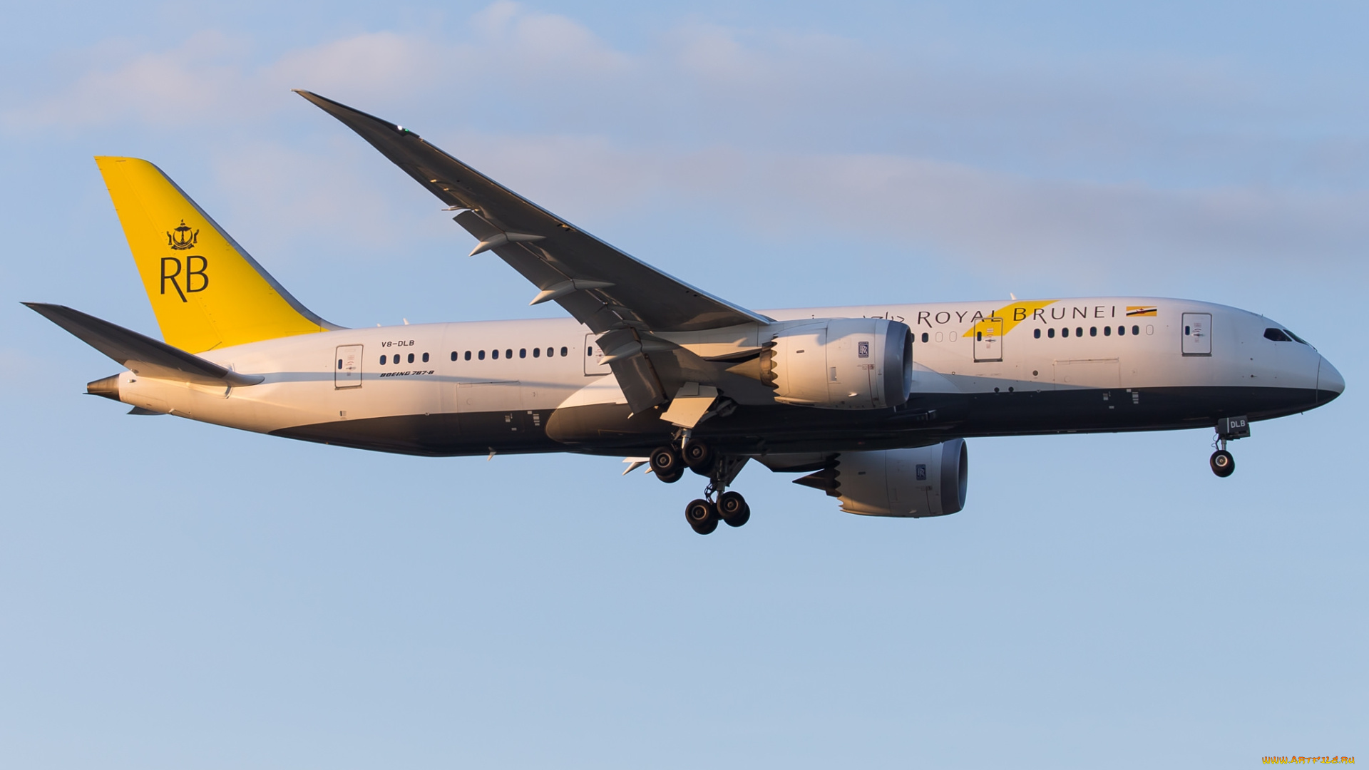 boeing, 787-8, авиация, пассажирские, самолёты, авиалайнер