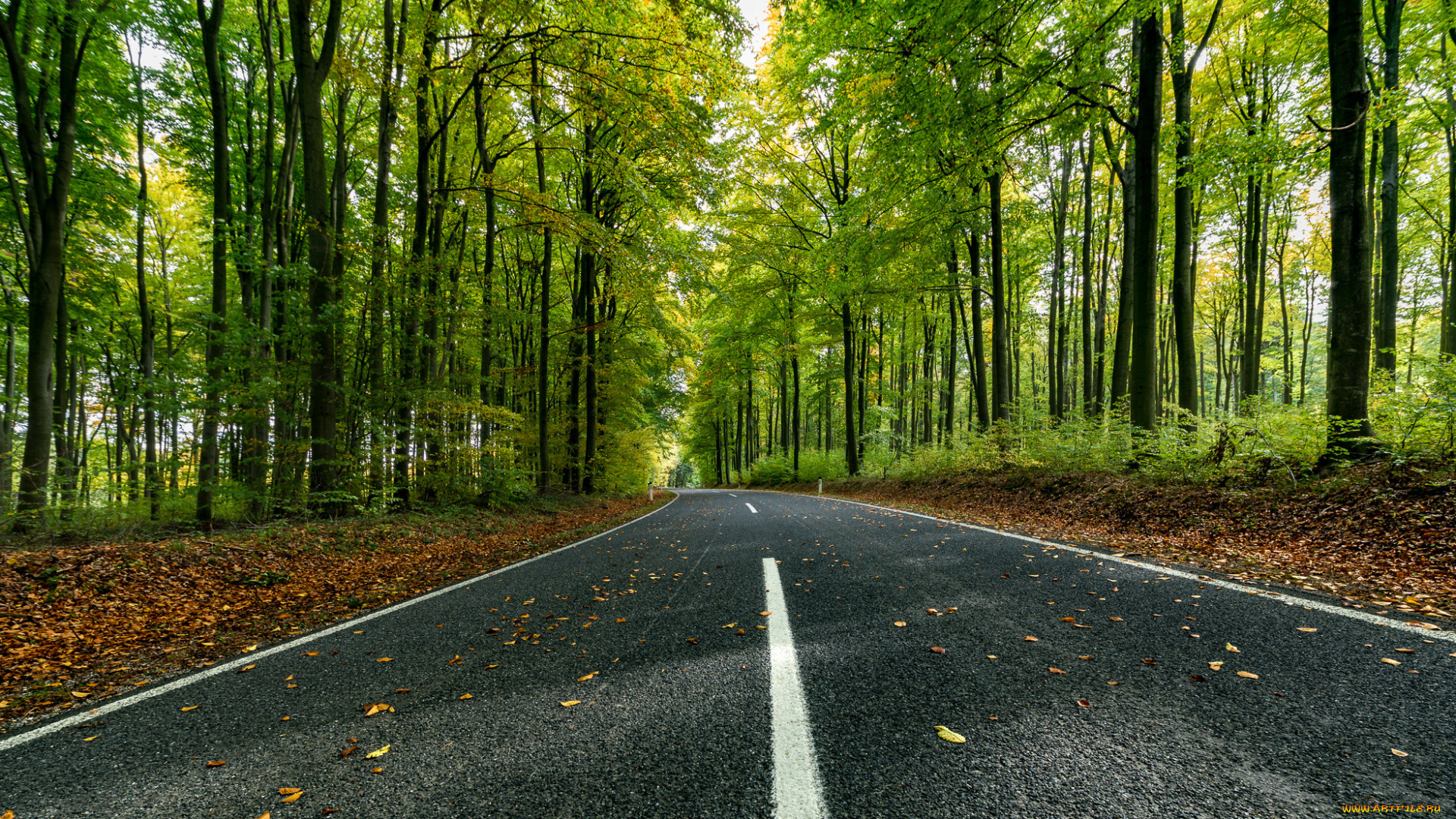 природа, дороги, простор