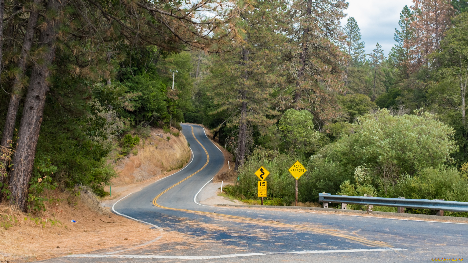 природа, дороги, простор