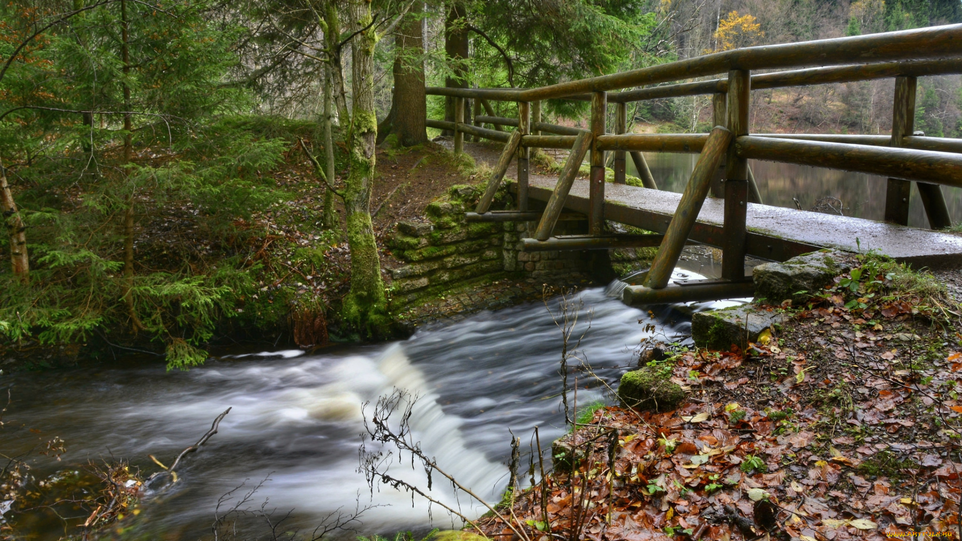 природа, реки, озера, простор