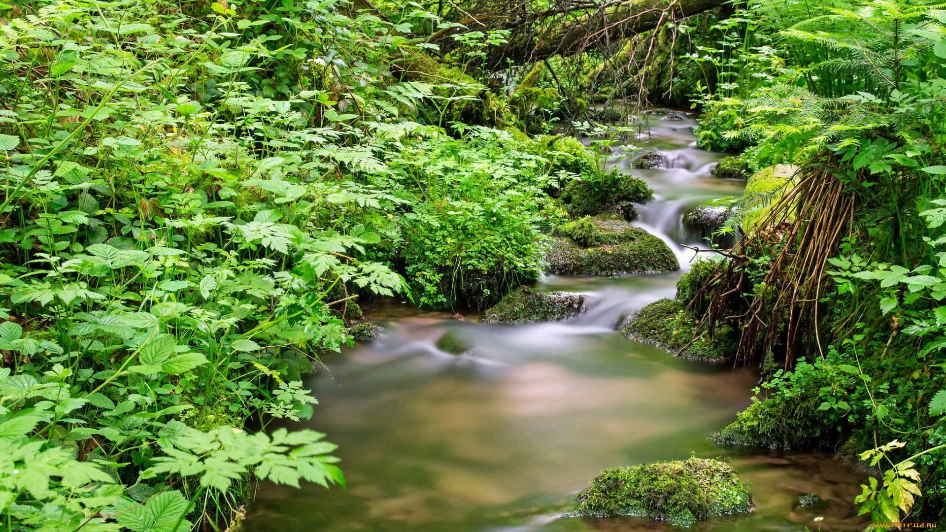 природа, реки, озера, простор