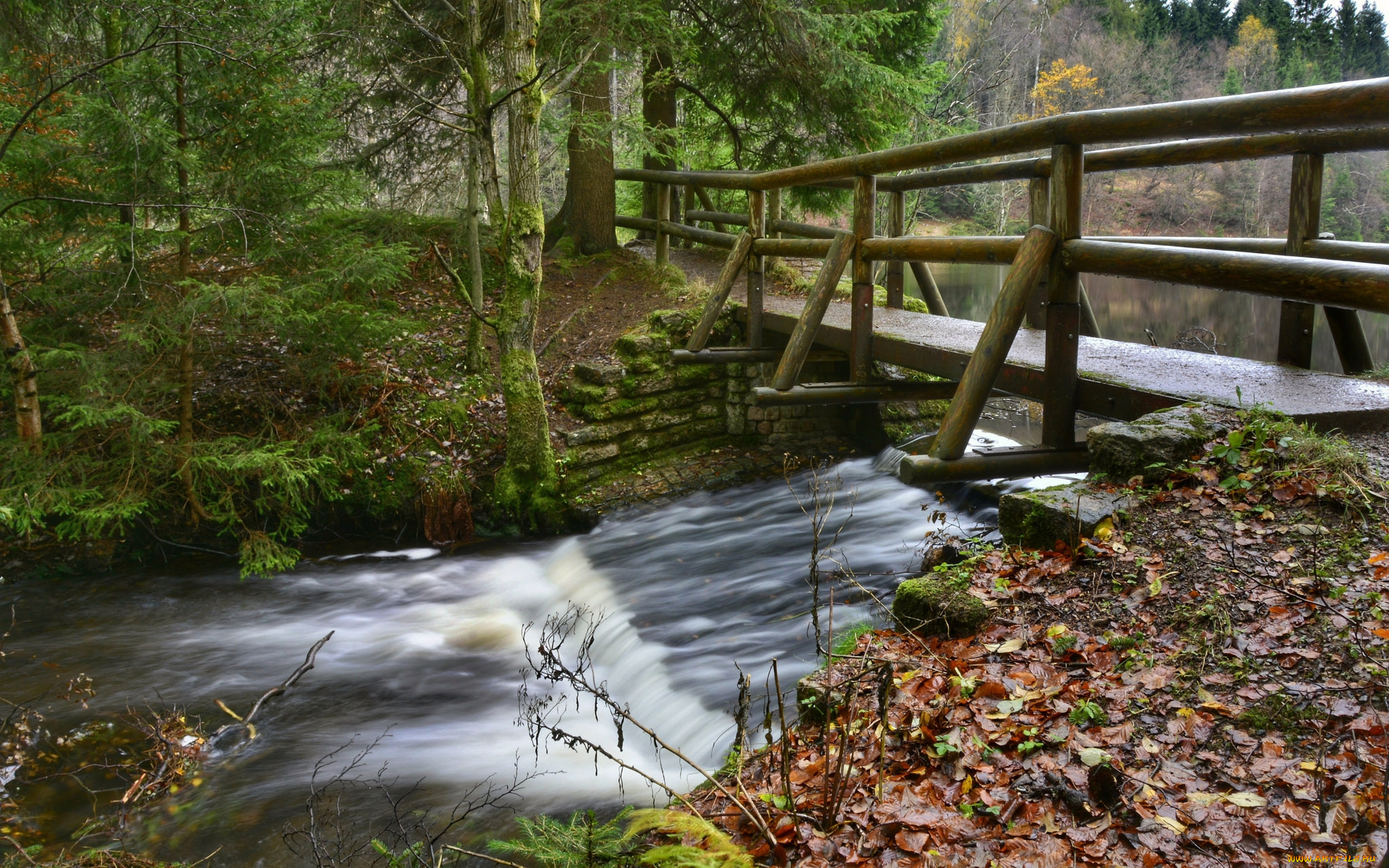 природа, реки, озера, простор