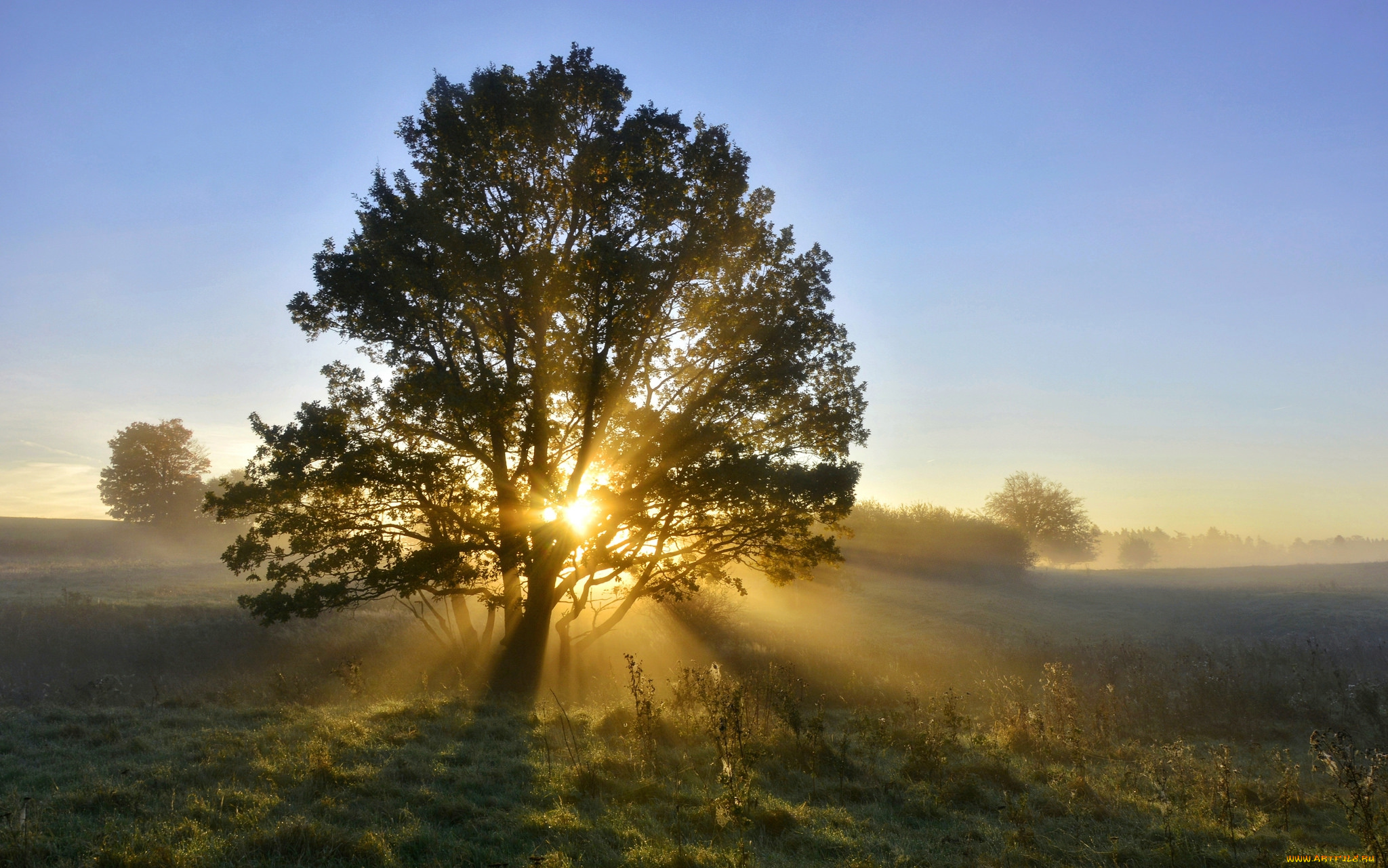 природа, восходы, закаты, простор