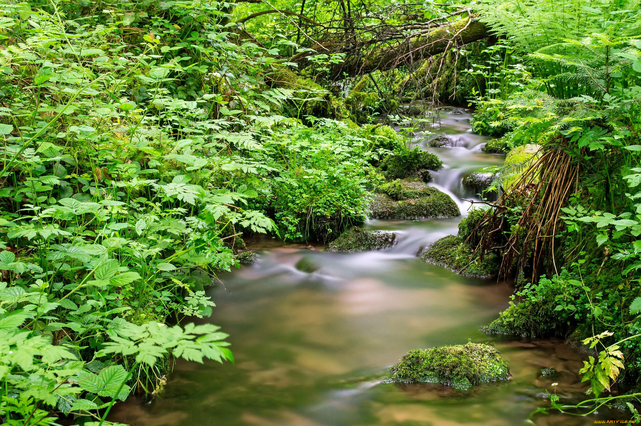 природа, реки, озера, простор